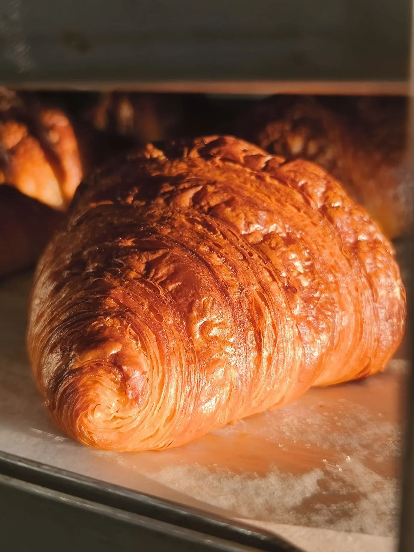 Shoutout Olive for snapping the morning sun hitting croissants fresh out the oven.