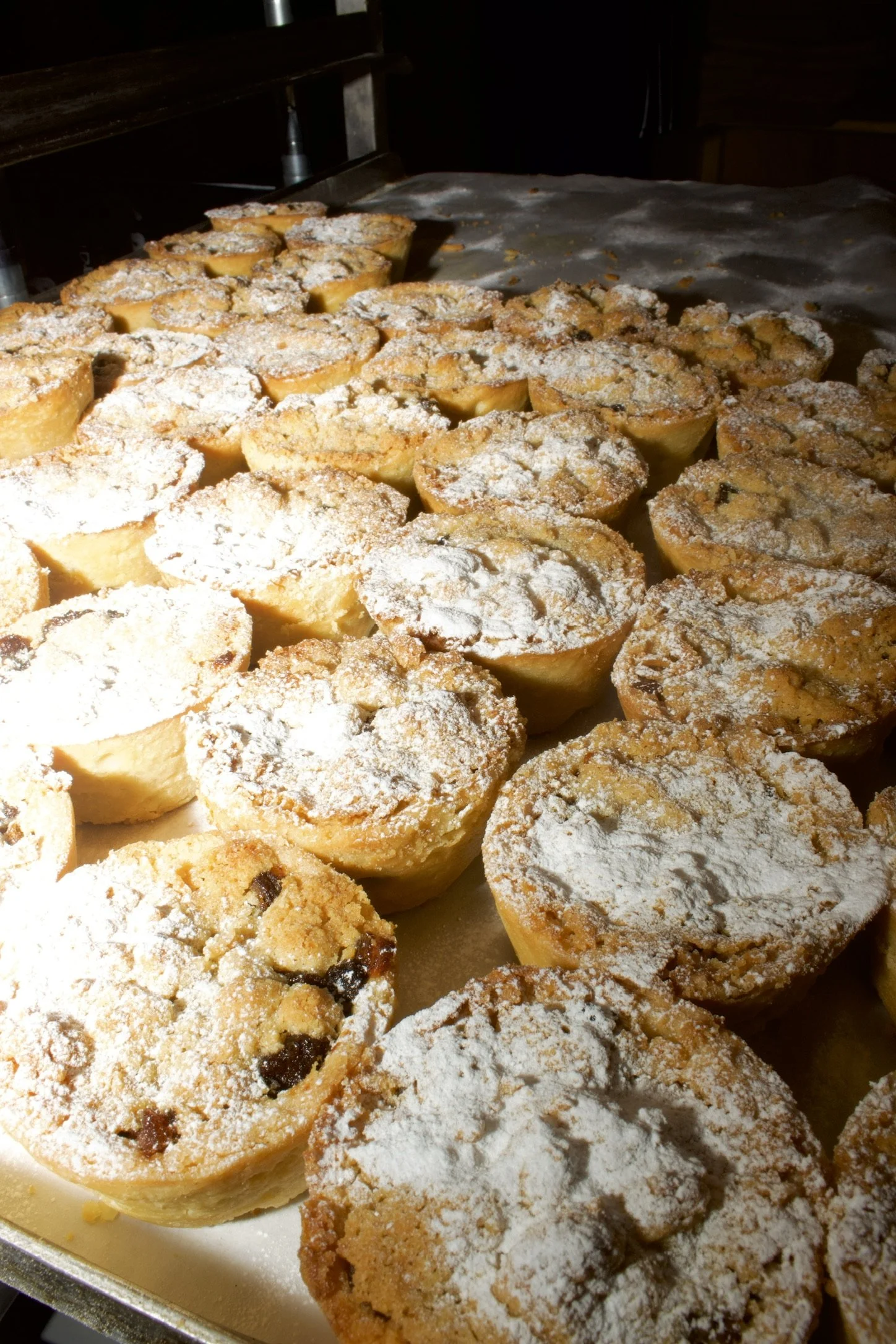 D9BEC5EE-3347-4FA3-8D66-23135DBE5E2F_1_102_a.jpeg (Copy)