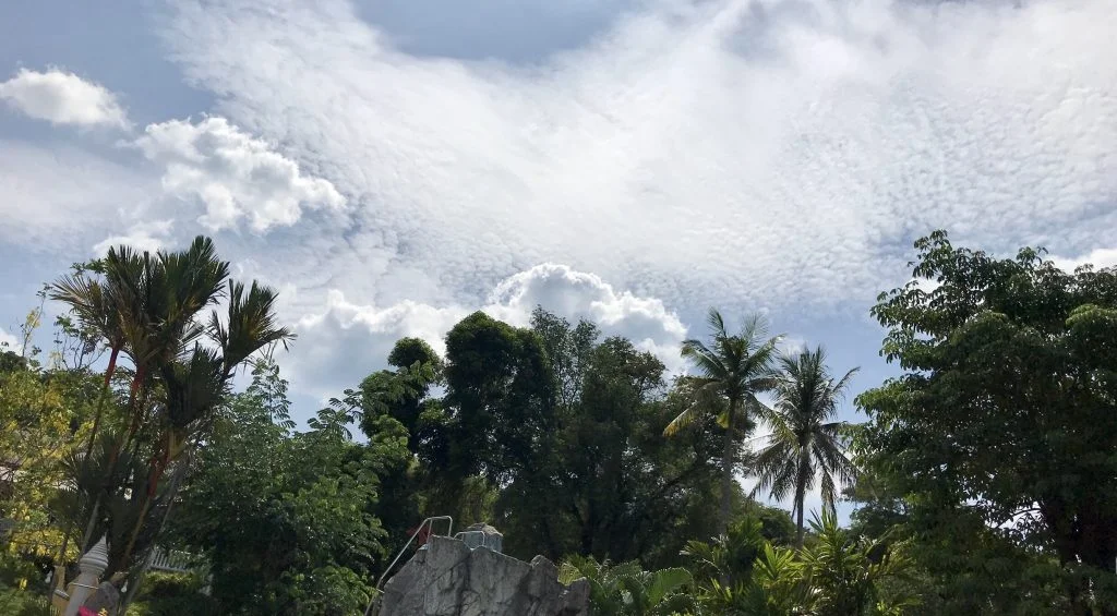 Föräldraledigheten går mot sitt slut