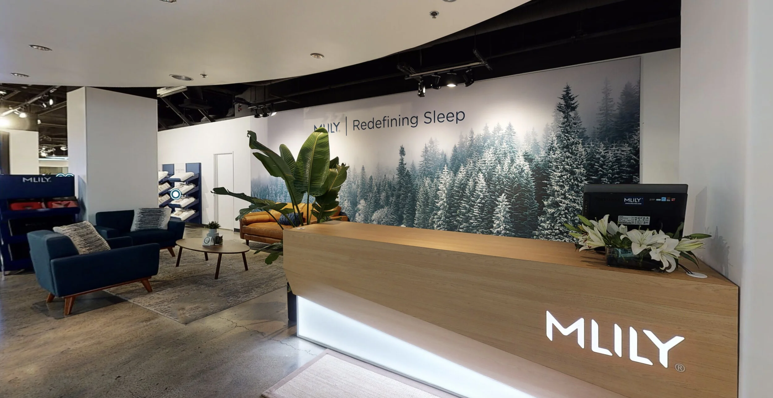 Vegas Showroom Pic 2.jpg