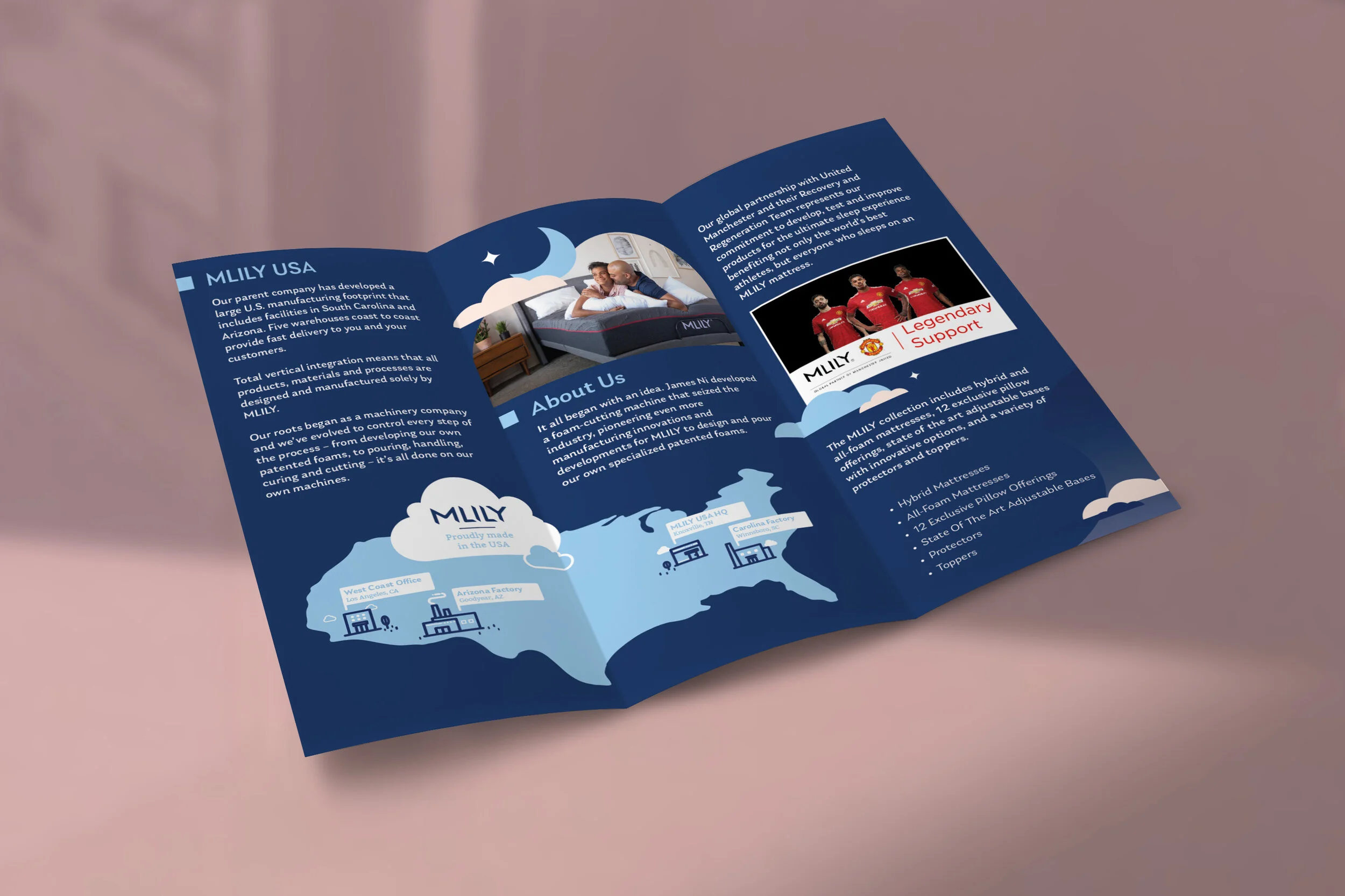 Trifold Brochure Mock-Up .jpg