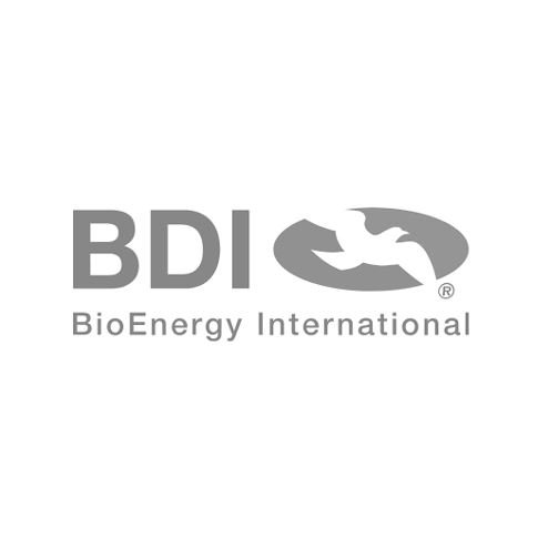 Logo_BDI.JPG