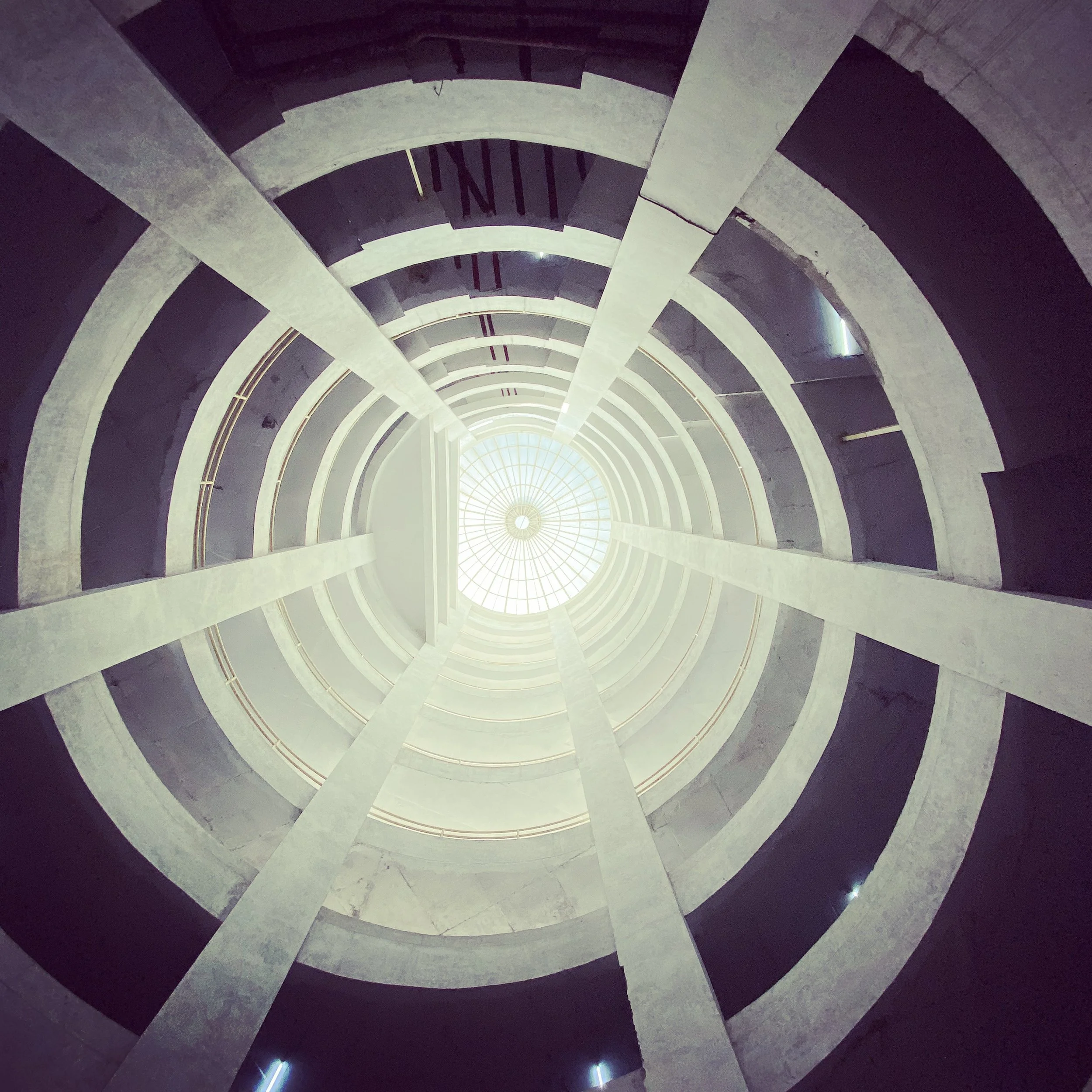 Colonies of Resistance: Three Poems by Arya Gopi