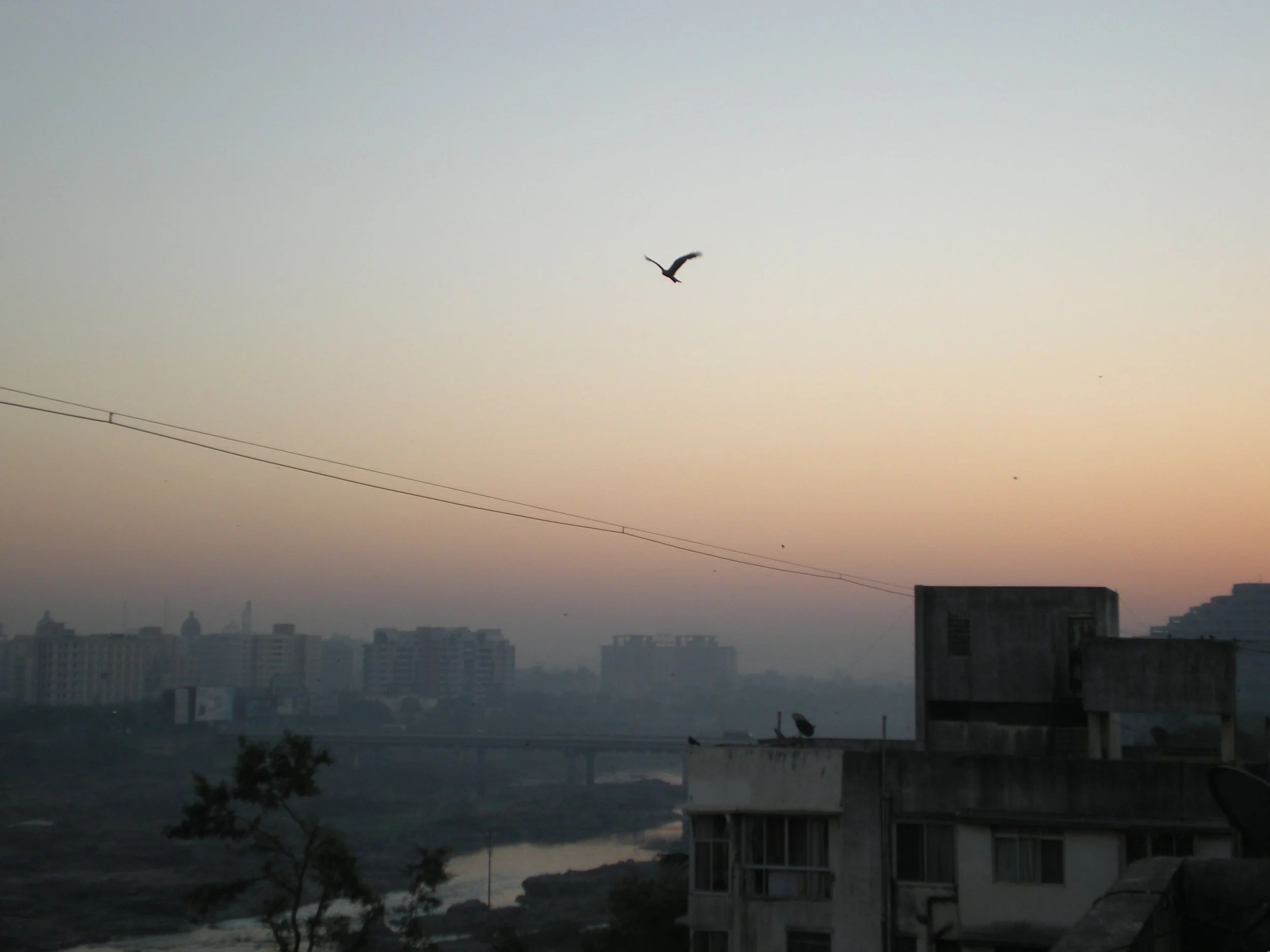 Another Day: Two Poems by Sukrita Paul Kumar