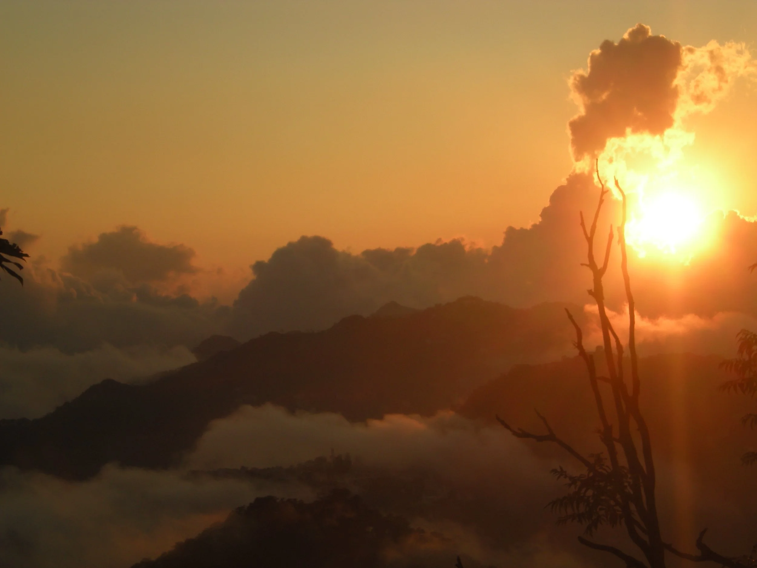 ‘The Feel of Being Forgotten’: Two Poems by Gopi Kottoor