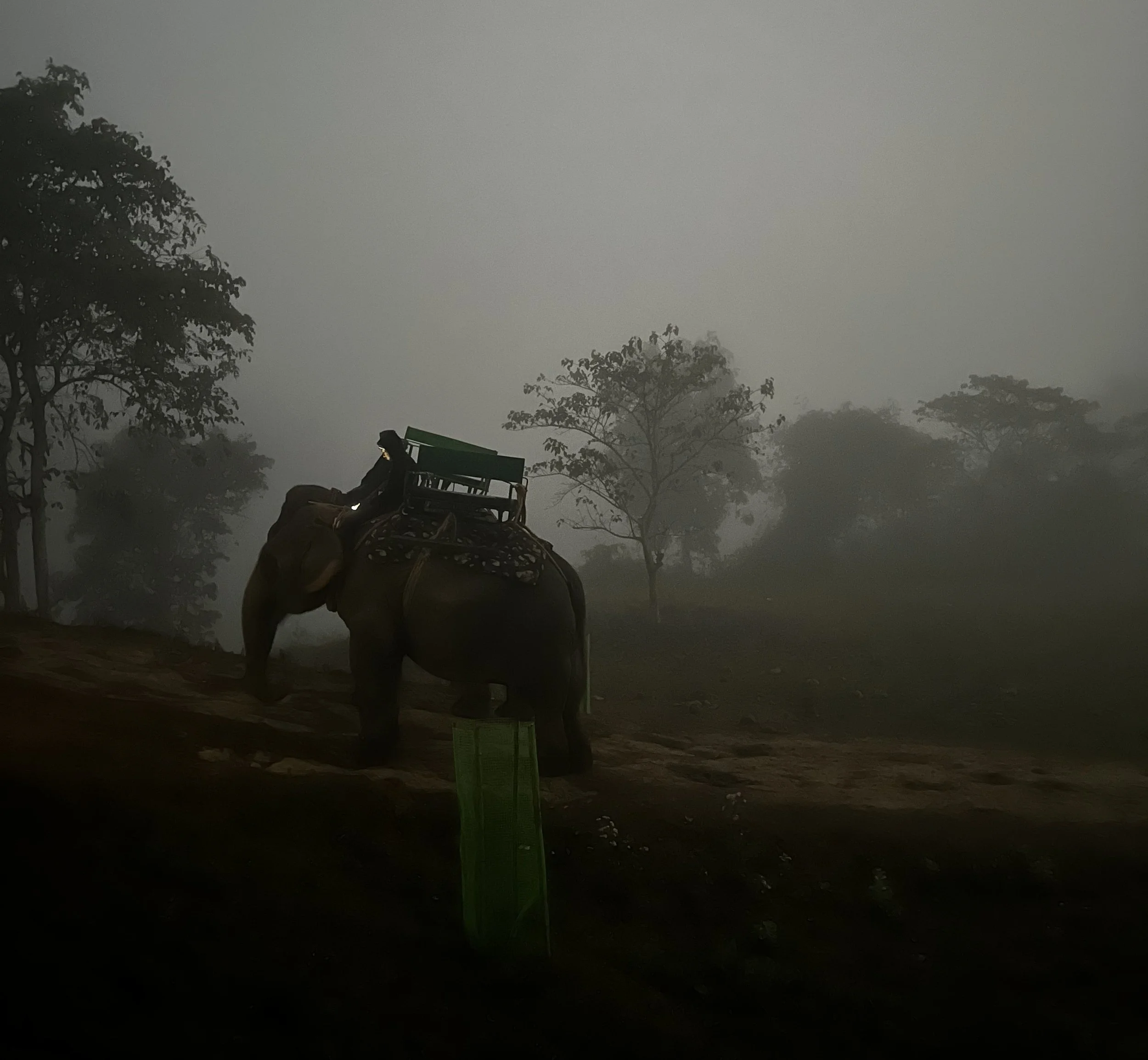 Three Poems on Guwahati and Beyond by Ayaan Halder