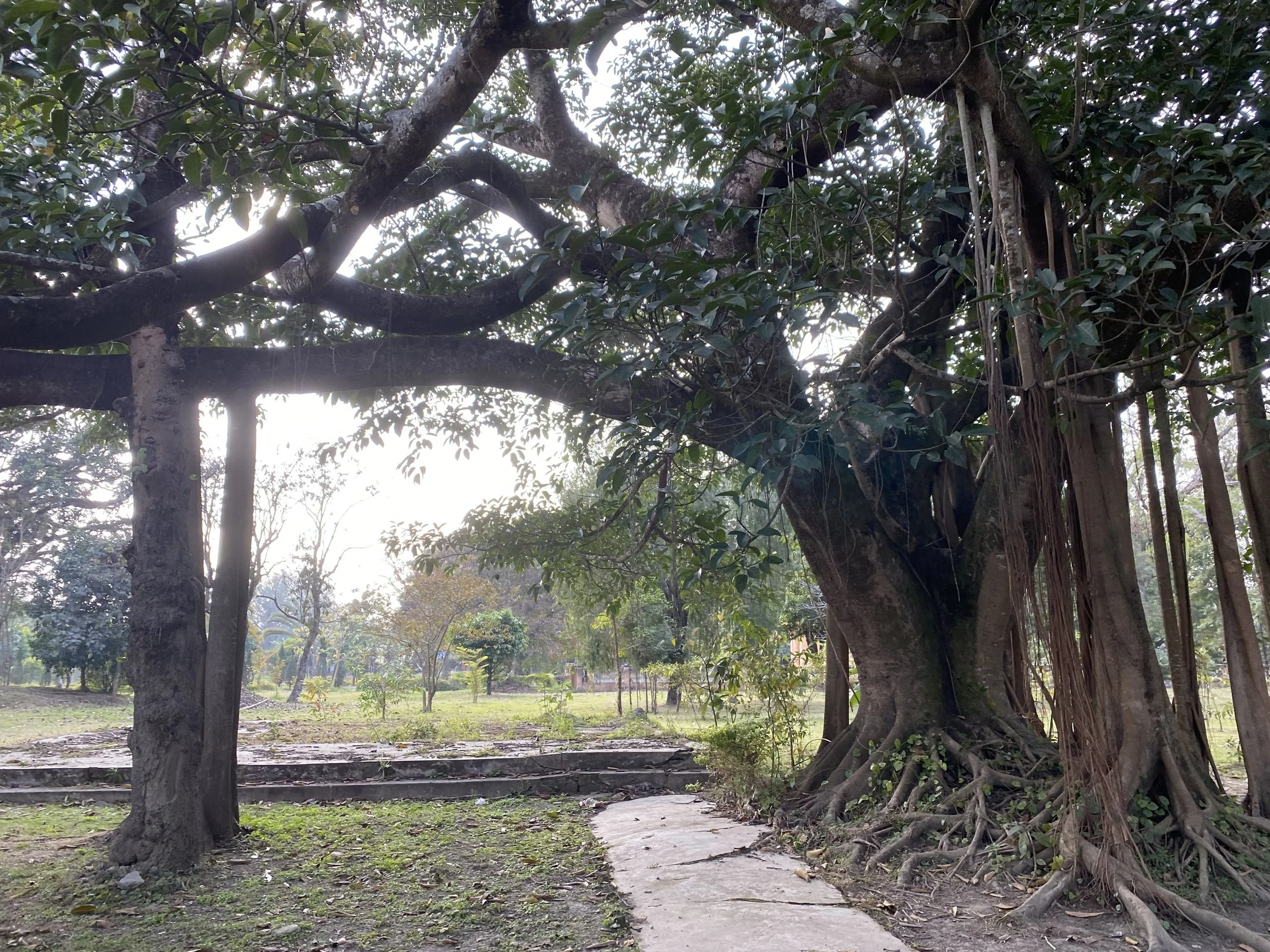 ‘The Heart Remembers’: Two Poems by Neera Kashyap