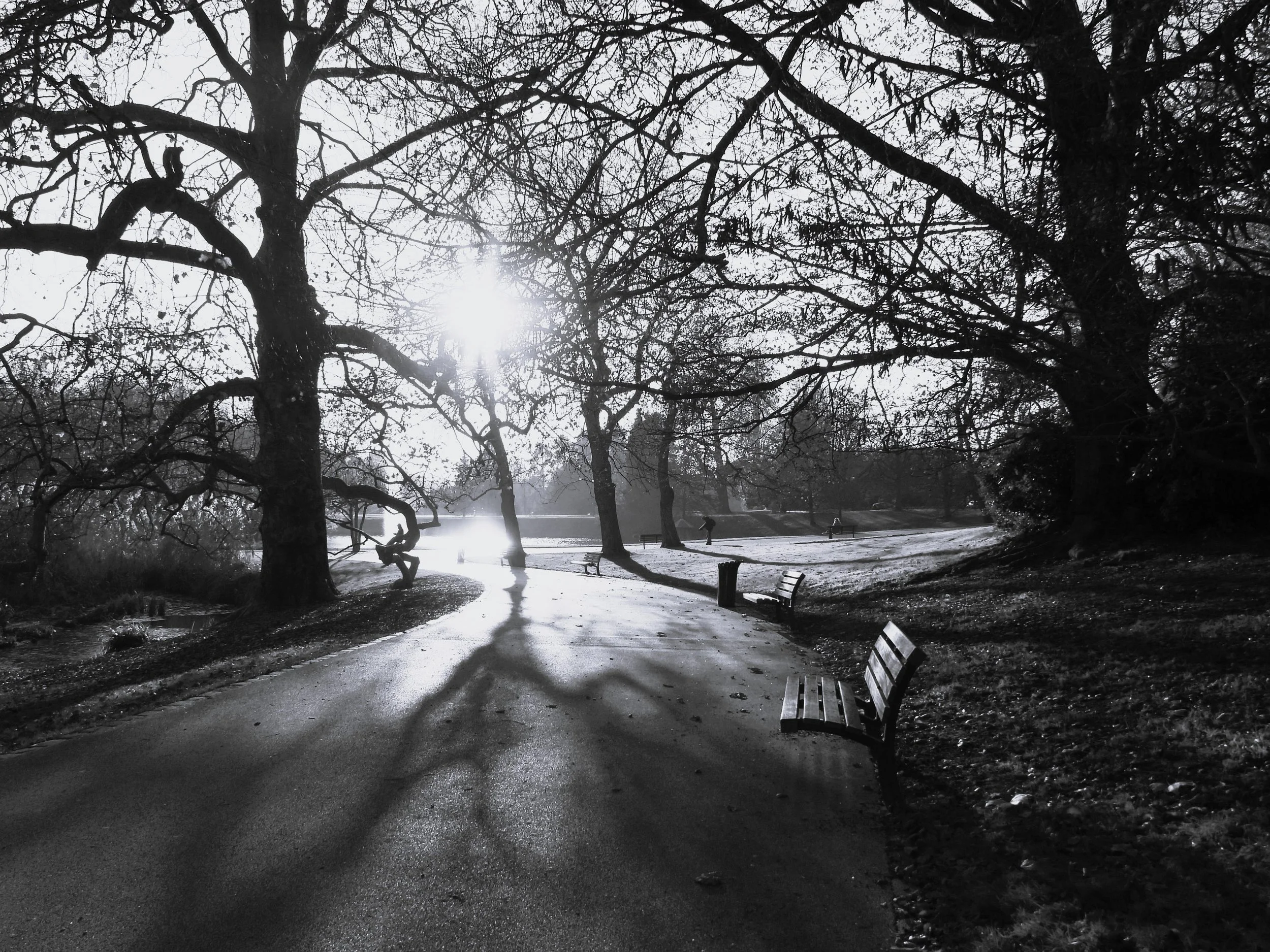 The Sacred and the Starved