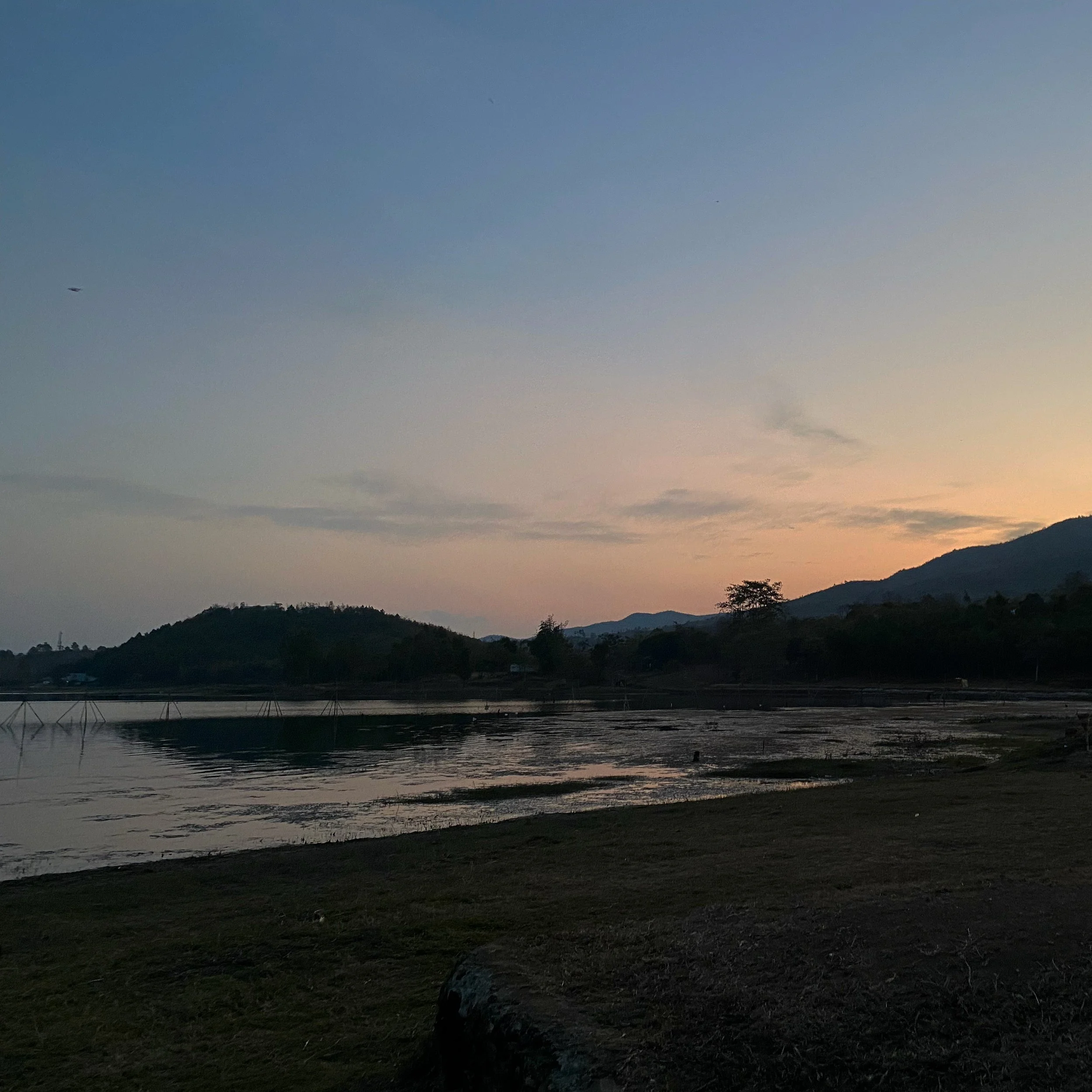 “Let Me Seed This Thought” – Three Poems by Bunny