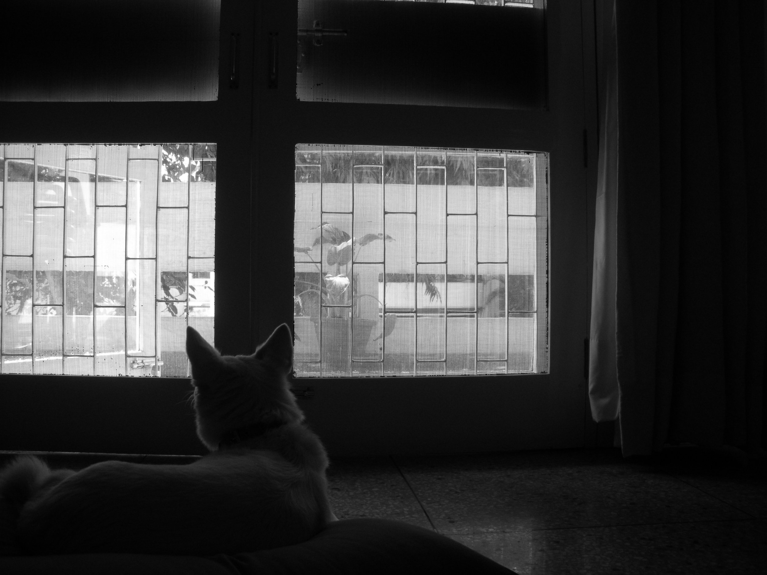 Sanctuary: Abstractions in Prose