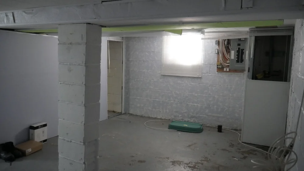 Basement Electrical Panel area