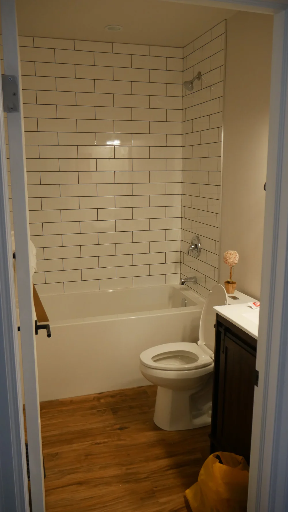 New Main Floor Bathroom