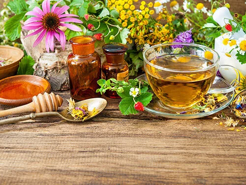 Fertili-Tea Workshop