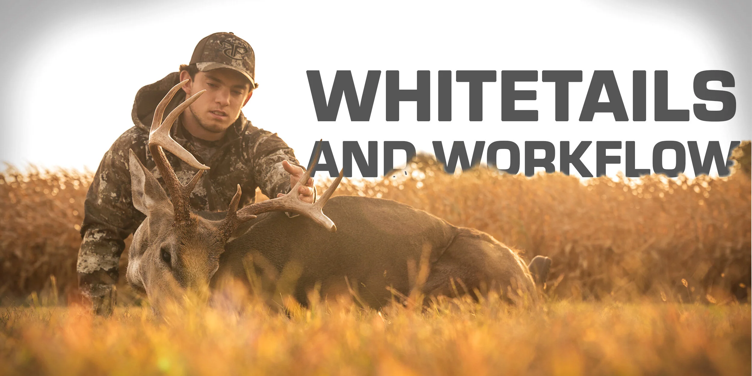 Whitetails and Workflow