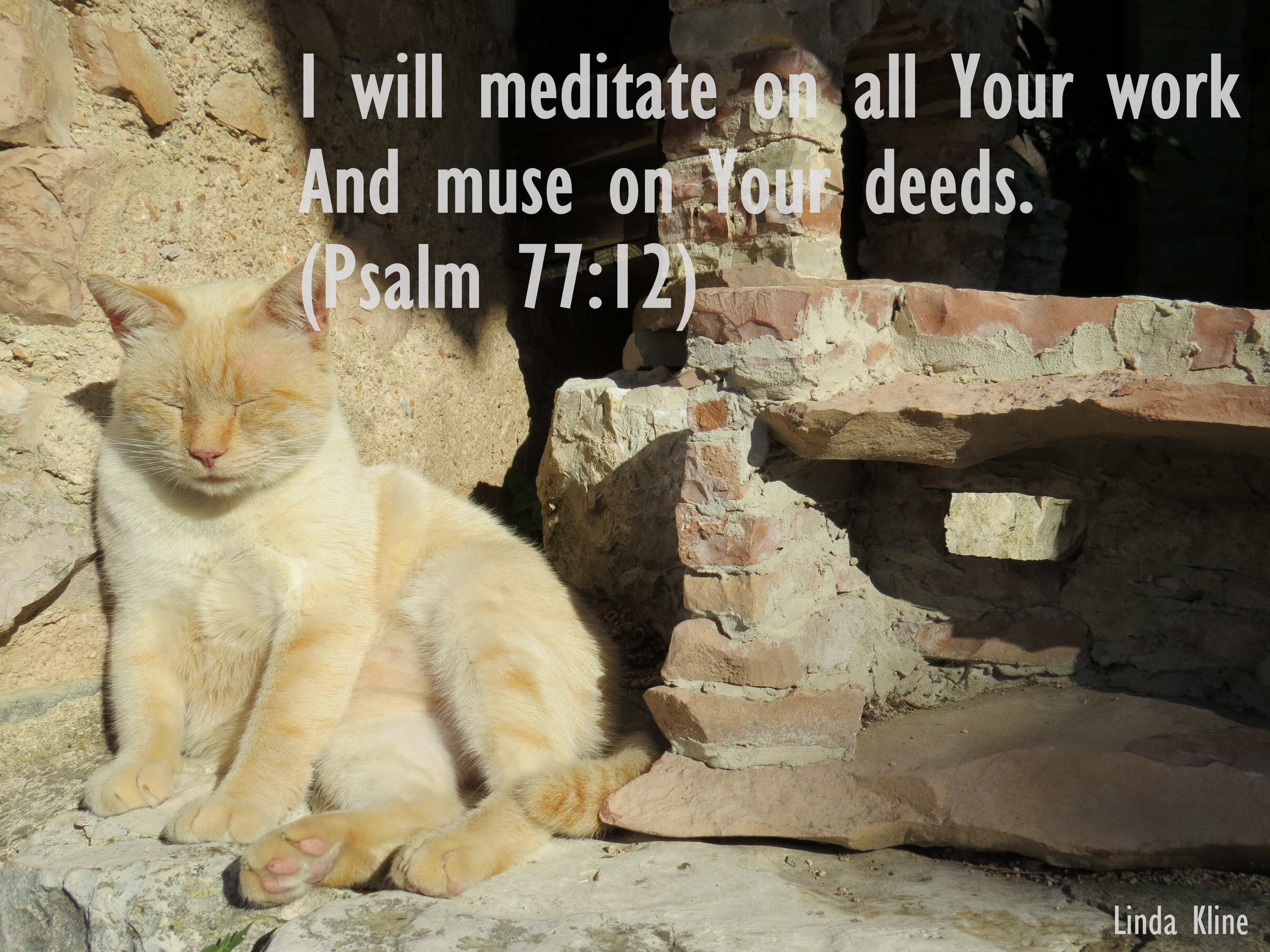 097-psalm 77.12 meditate.JPG