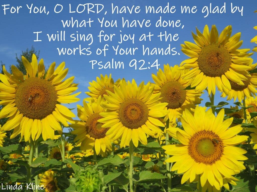 fb made me glad Sunflowers 7-14-2019 10-00-009.jpg