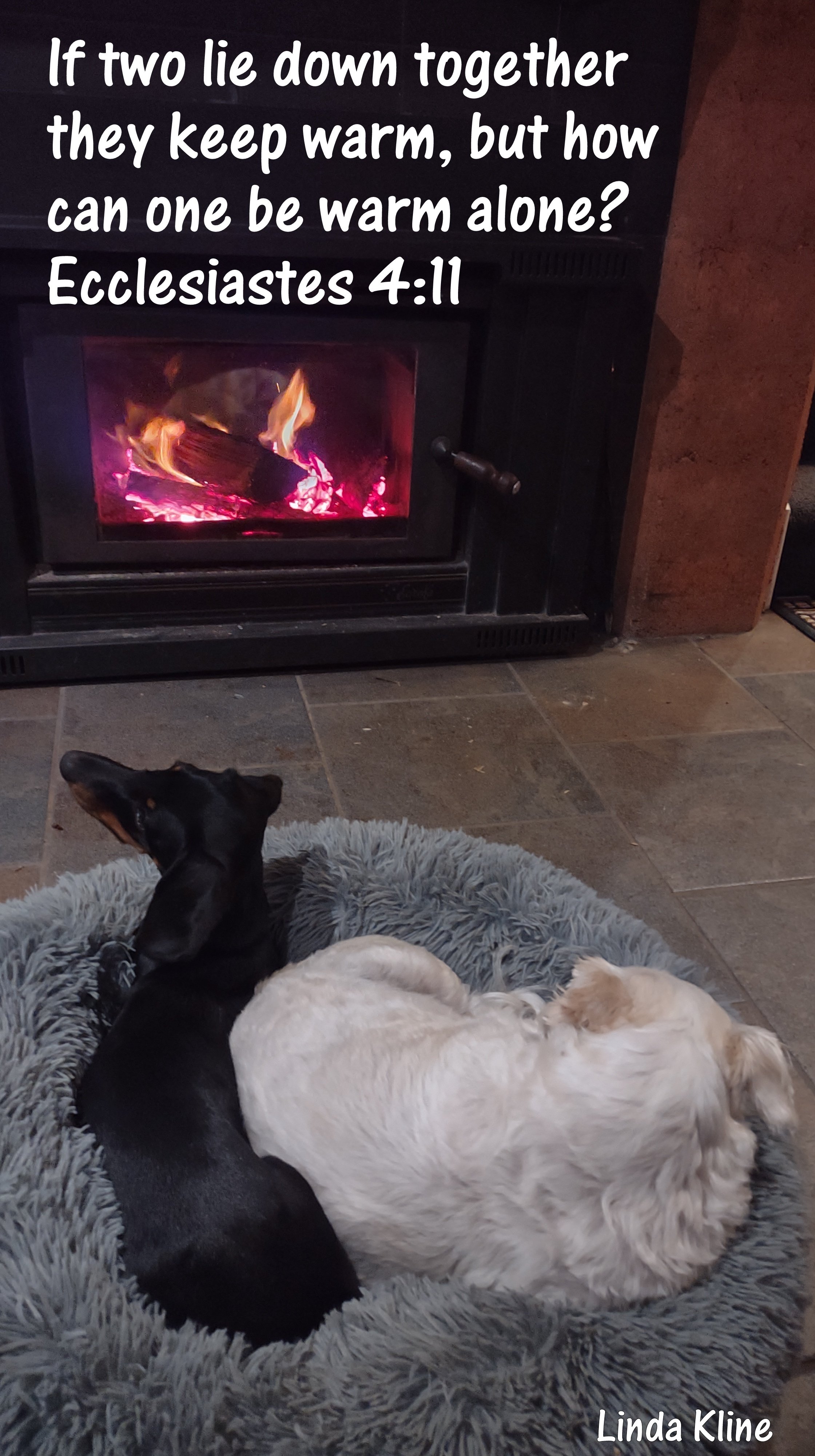 Crookwell two lie down together.jpg