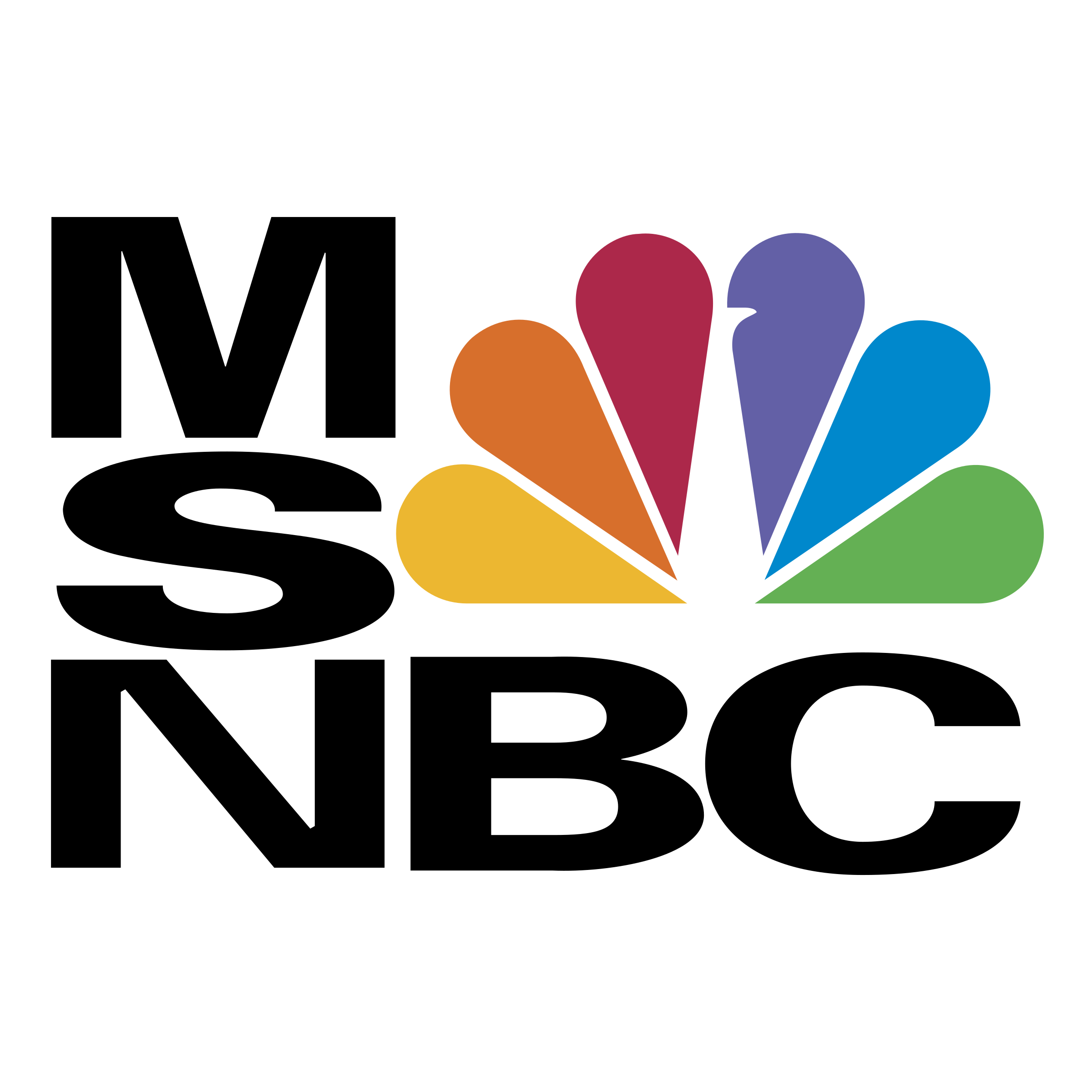 msnbc-logo-png-transparent.png
