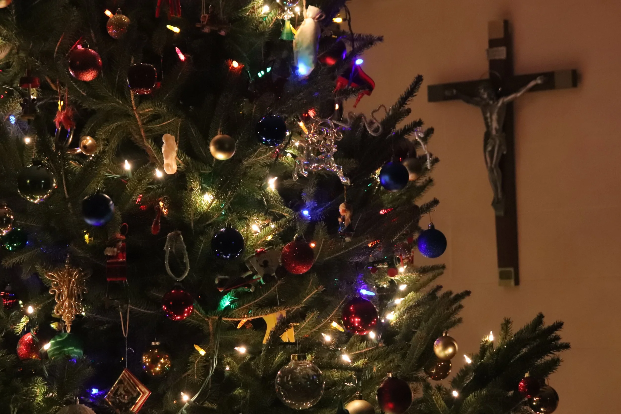 Schedule of Liturgies for Christmas