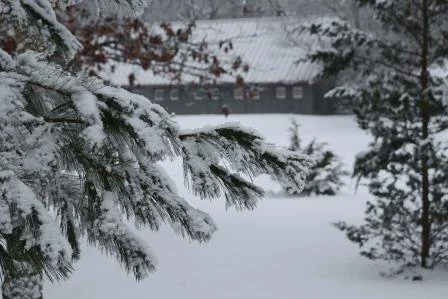 IMG_9416 compressed.jpg