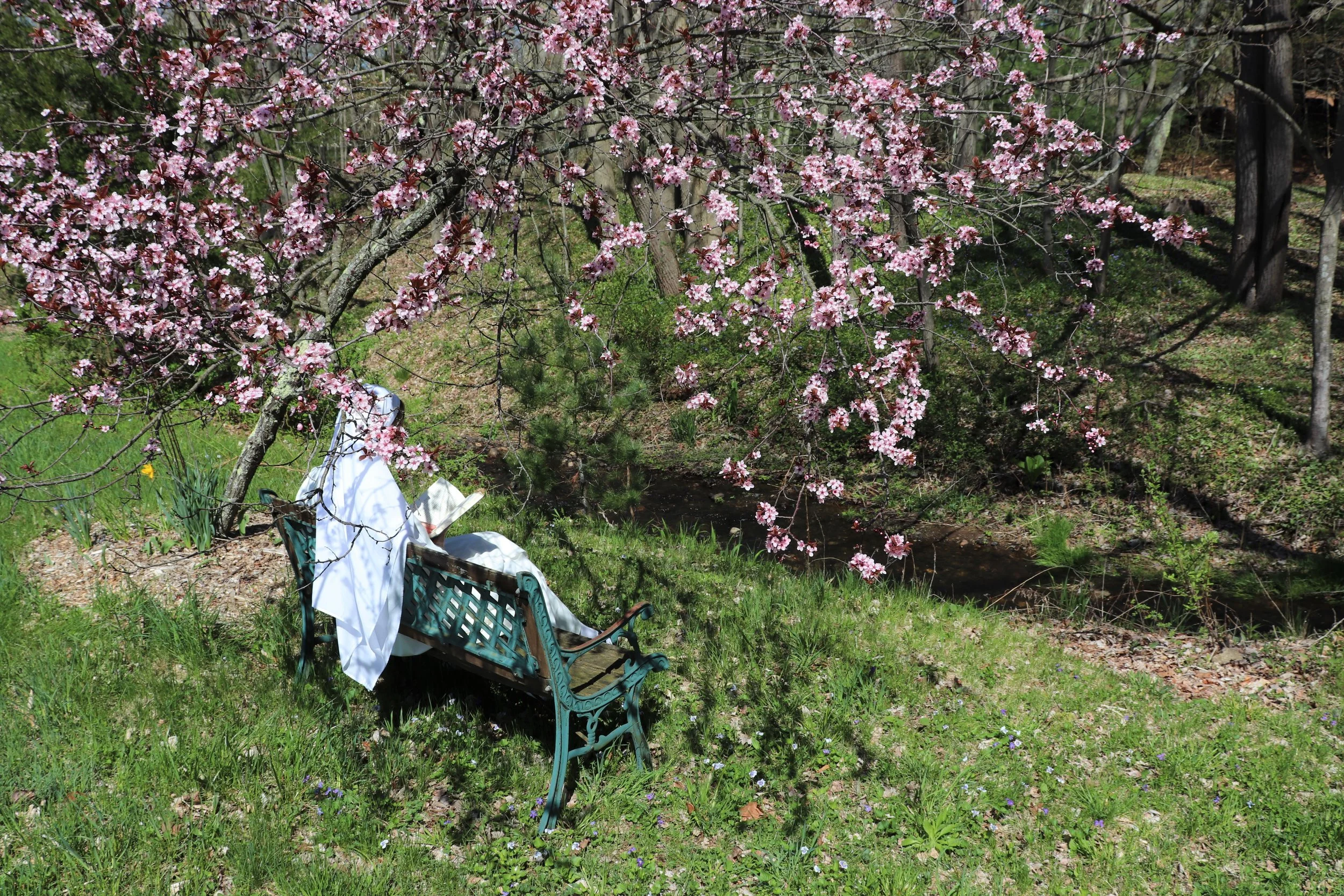 Dominican Novice Nun Lectio Divina.JPG