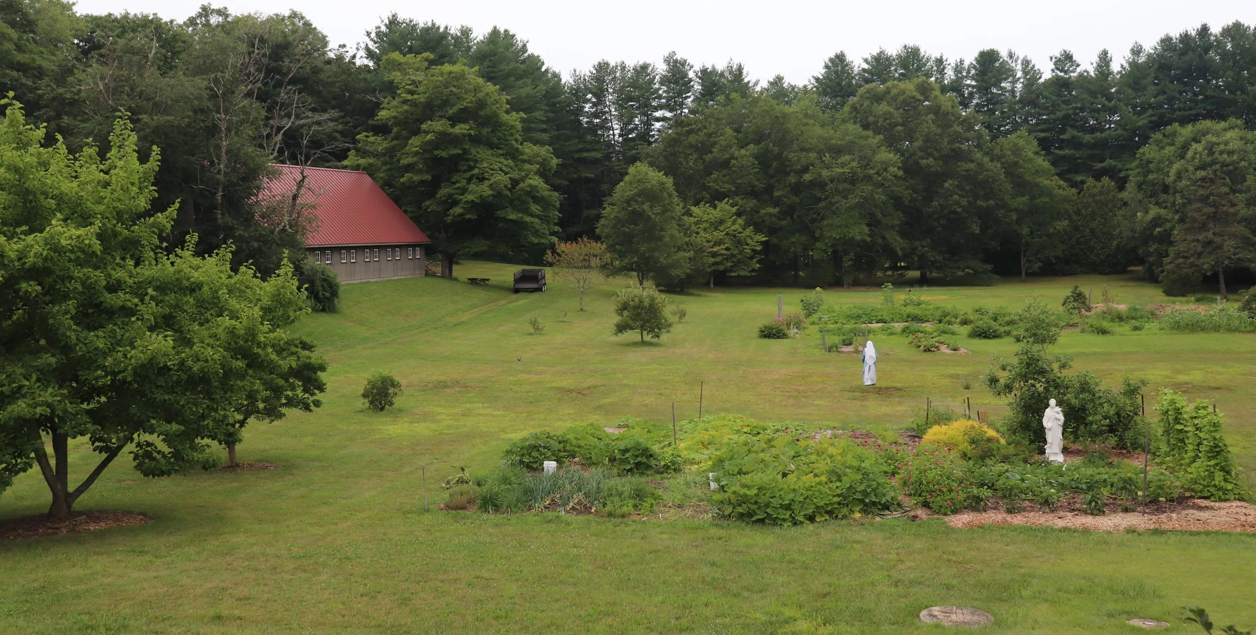 Westside of back yard with sister.JPG