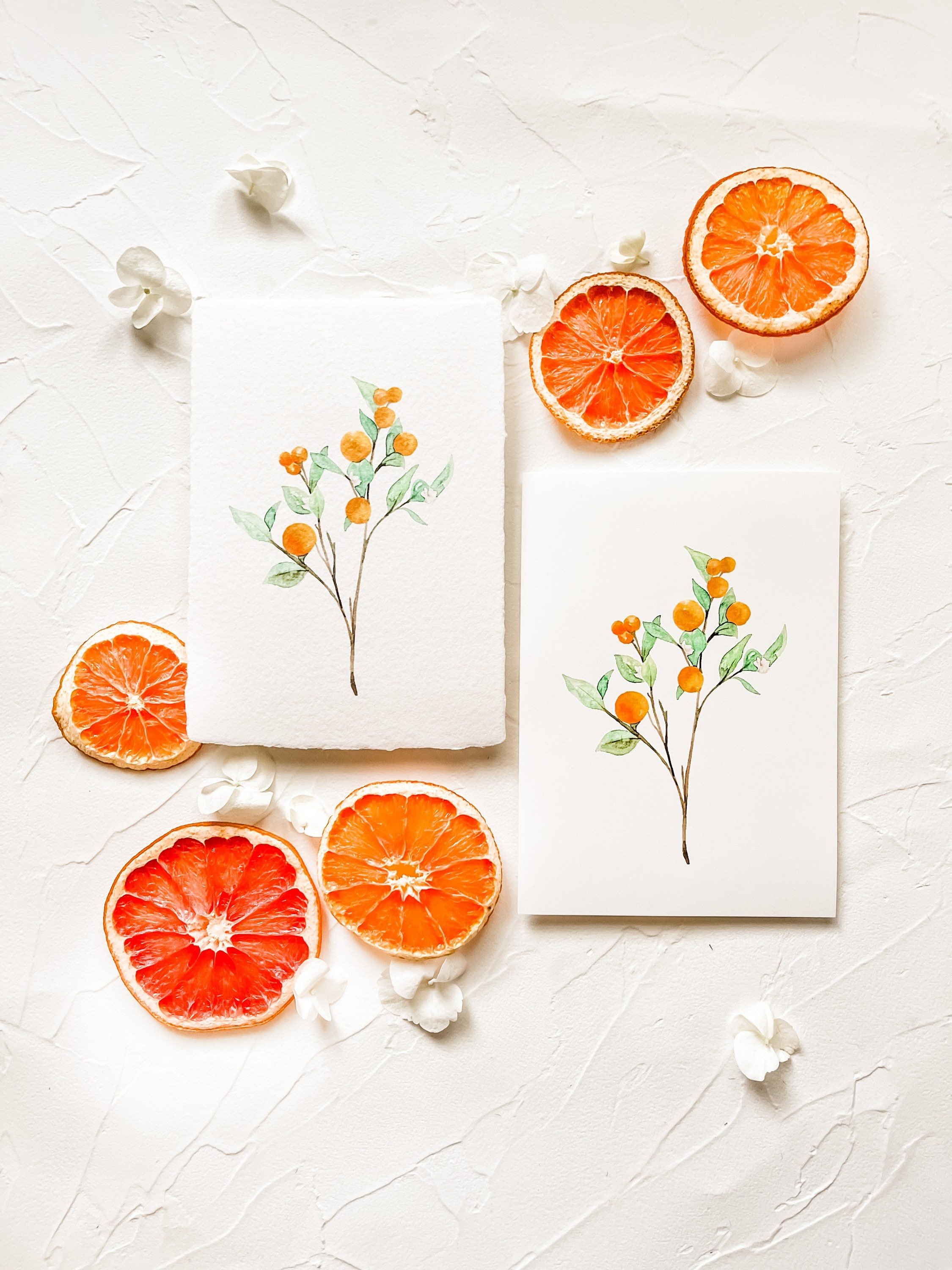 https://i.etsystatic.com/12865899/r/il/b74c76/2867312339/il_fullxfull.2867312339_nbvs.jpg
