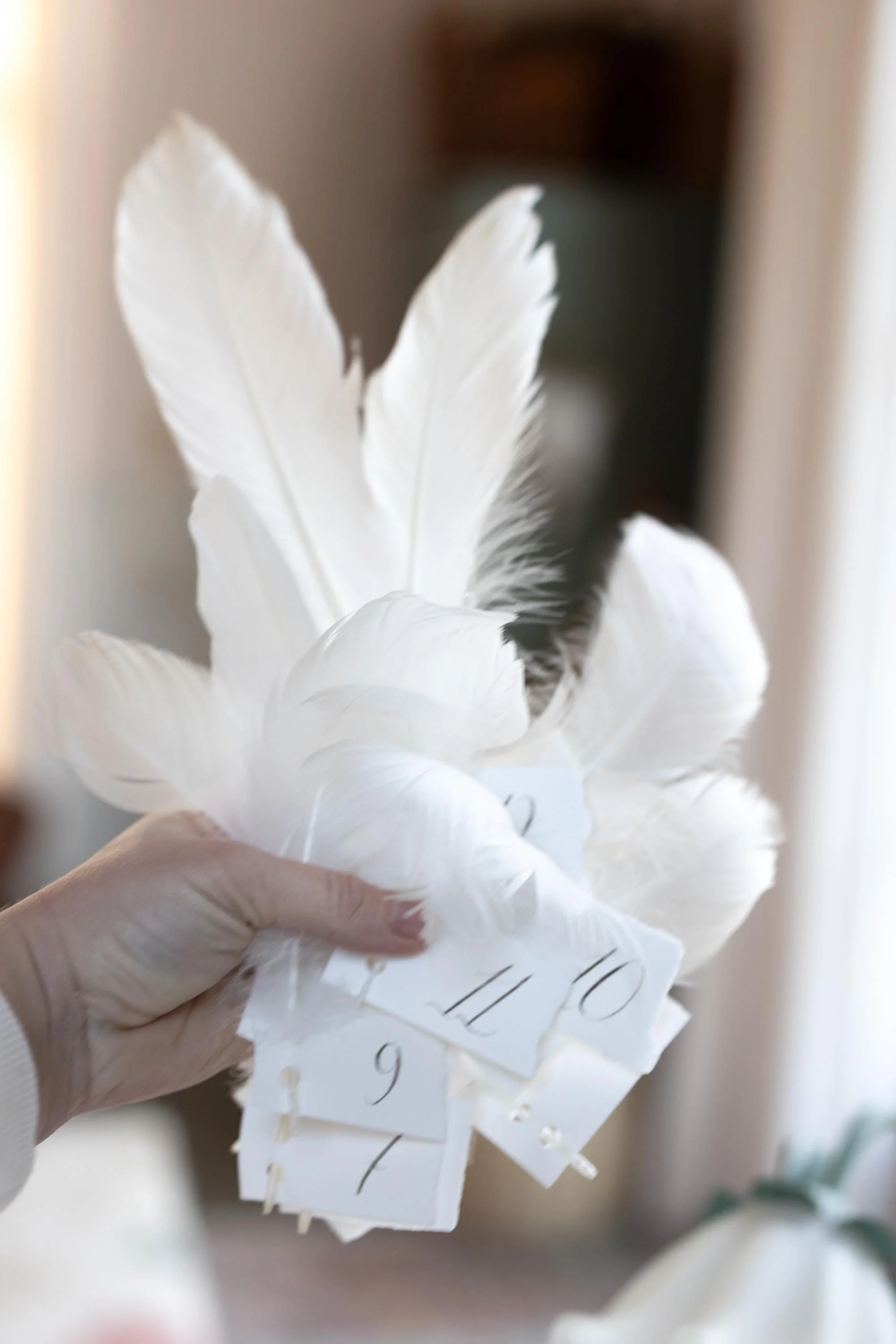 https://i.etsystatic.com/12865899/r/il/48b633/7646358987/il_fullxfull.7646358987_fcic.jpg