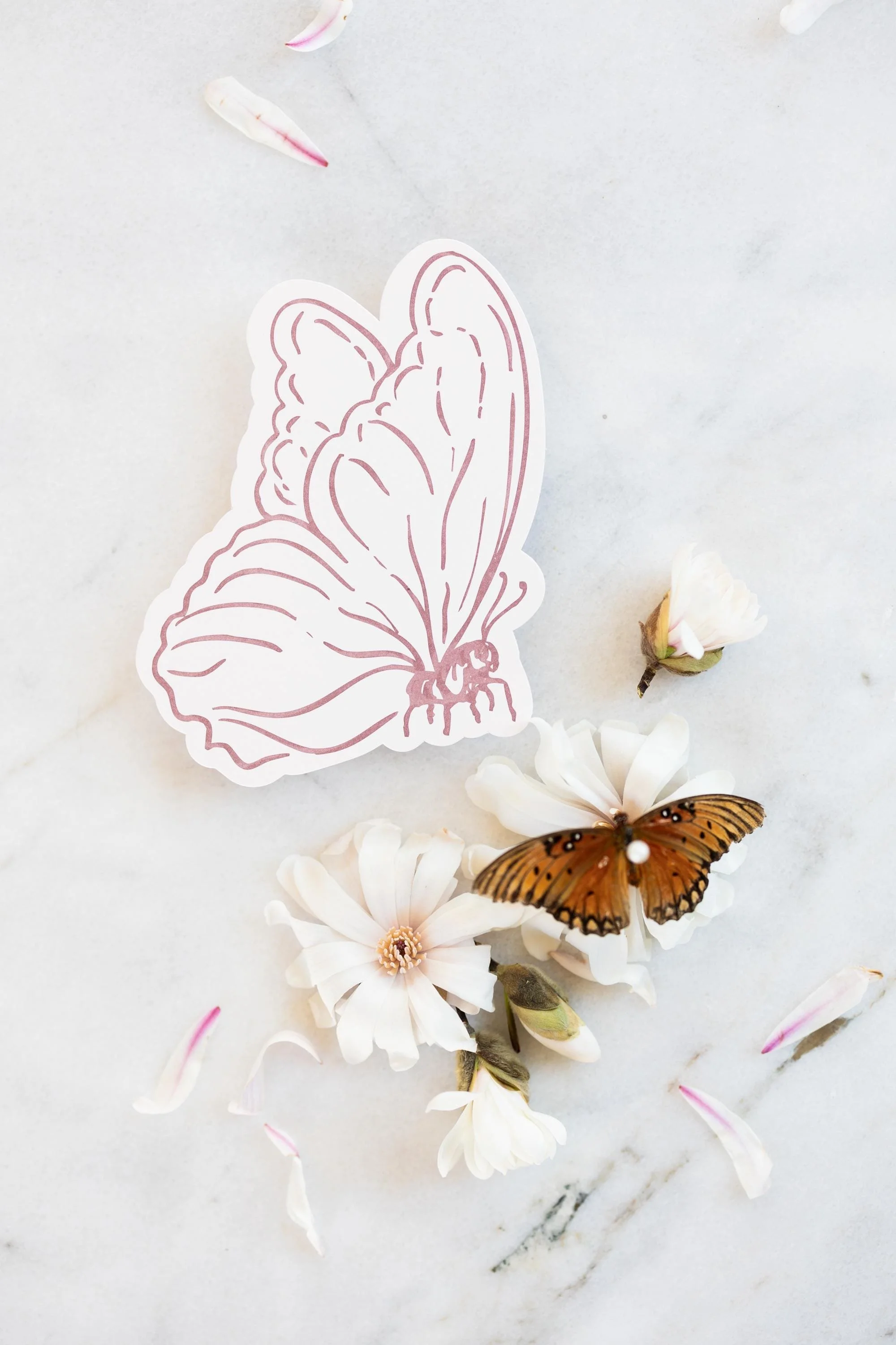 https://i.etsystatic.com/12865899/r/il/3ec307/6732342205/il_fullxfull.6732342205_tbuo.jpg