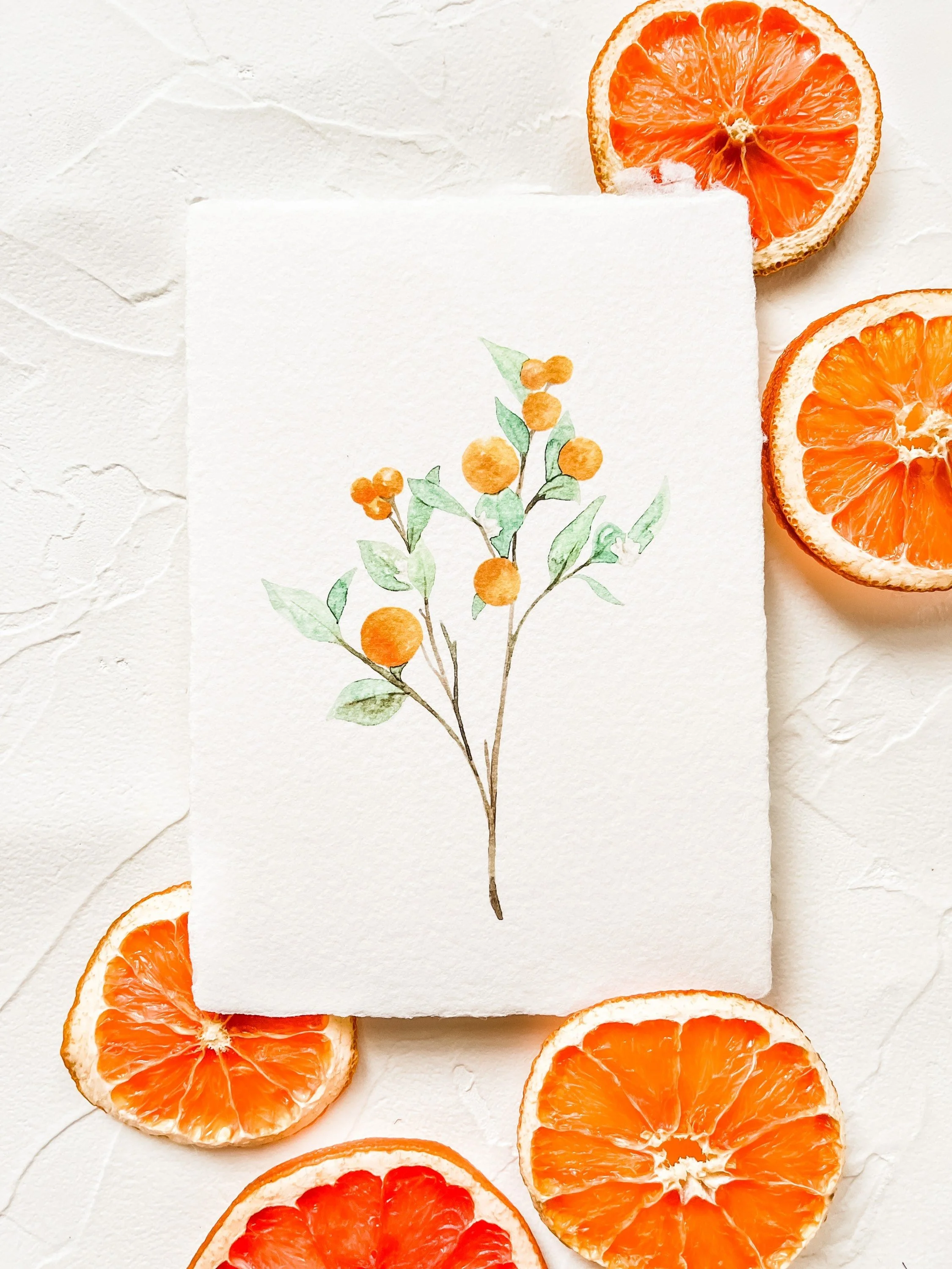 https://i.etsystatic.com/12865899/r/il/5722e4/2819660518/il_fullxfull.2819660518_cz0n.jpg