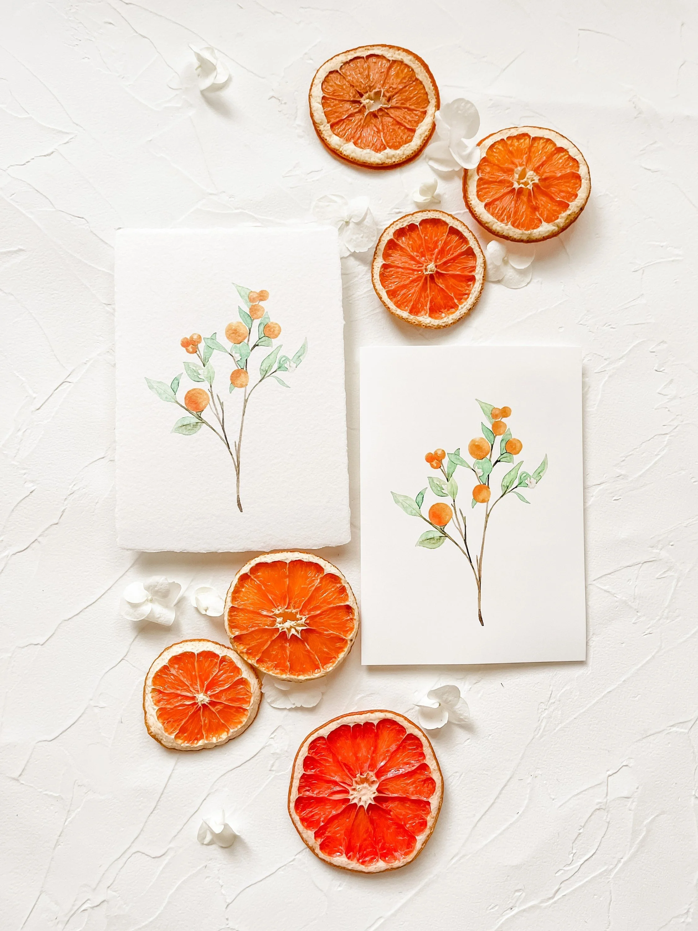 https://i.etsystatic.com/12865899/r/il/de827c/2819651866/il_fullxfull.2819651866_sbc9.jpg