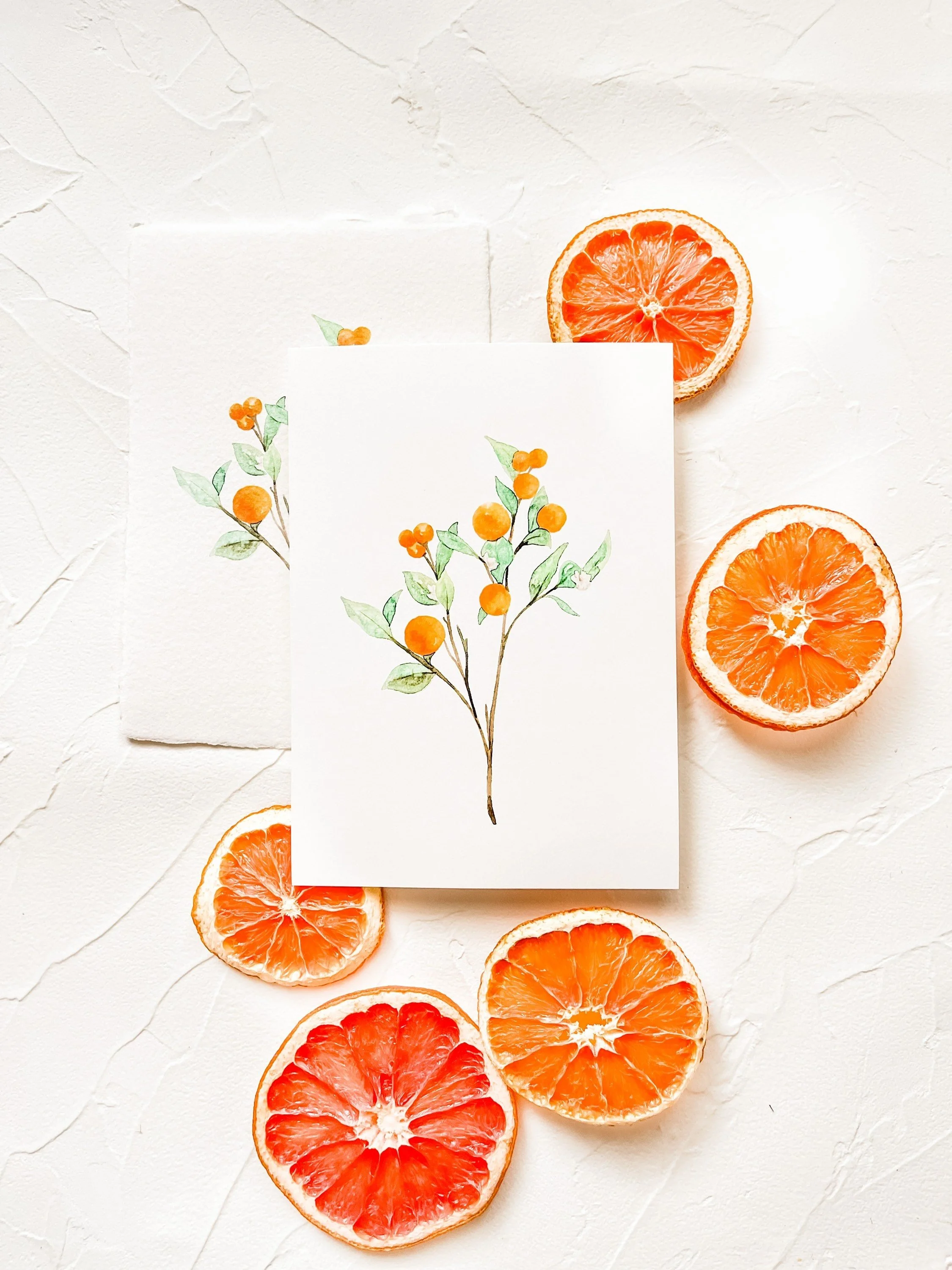 https://i.etsystatic.com/12865899/r/il/bf7d95/2819651678/il_fullxfull.2819651678_ferz.jpg