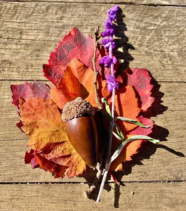 Fall wedding boutonni&egrave;re inspo 😍 
#fallwedding #autumn #autumnwedding #sonomawedding #grapeleaves #acorn #colorsoffall #boutonniere #inspiration #wedding #vineyardwedding #winerywedding