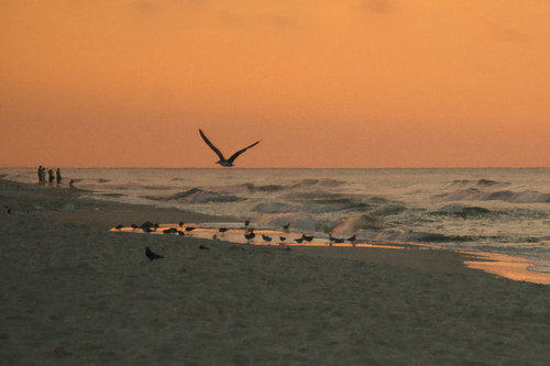 sunrise+6-1+318+copy - Copy.jpg