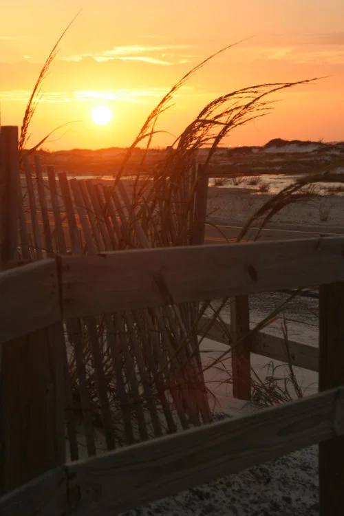 sunset+9-5+084+copy - Copy - Copy.jpg