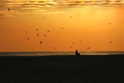sunset+with+jasmines+bike+029+copy - Copy - Copy.jpg