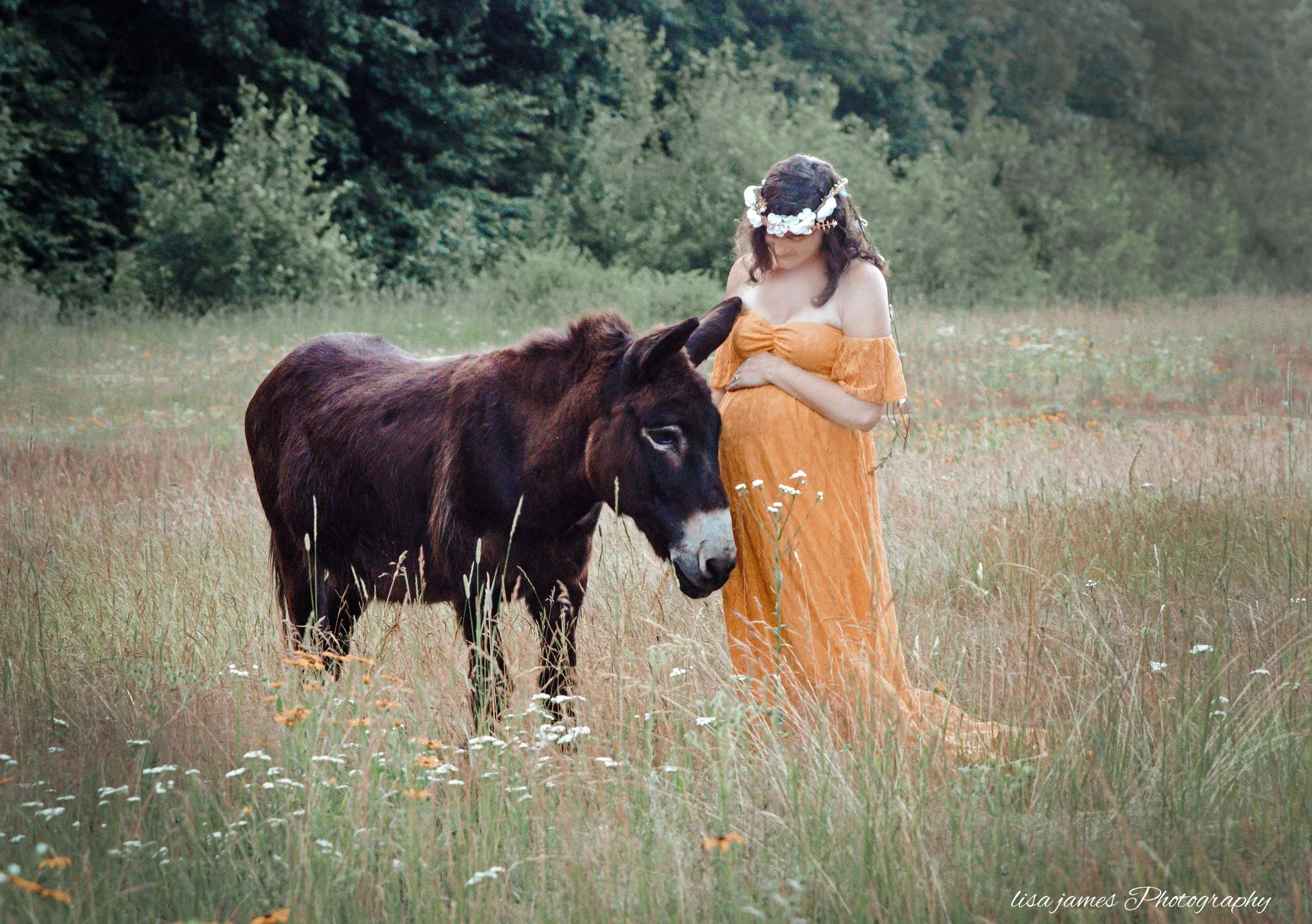 _09A0221-2 copy1 SIGN copyUSE.jpg