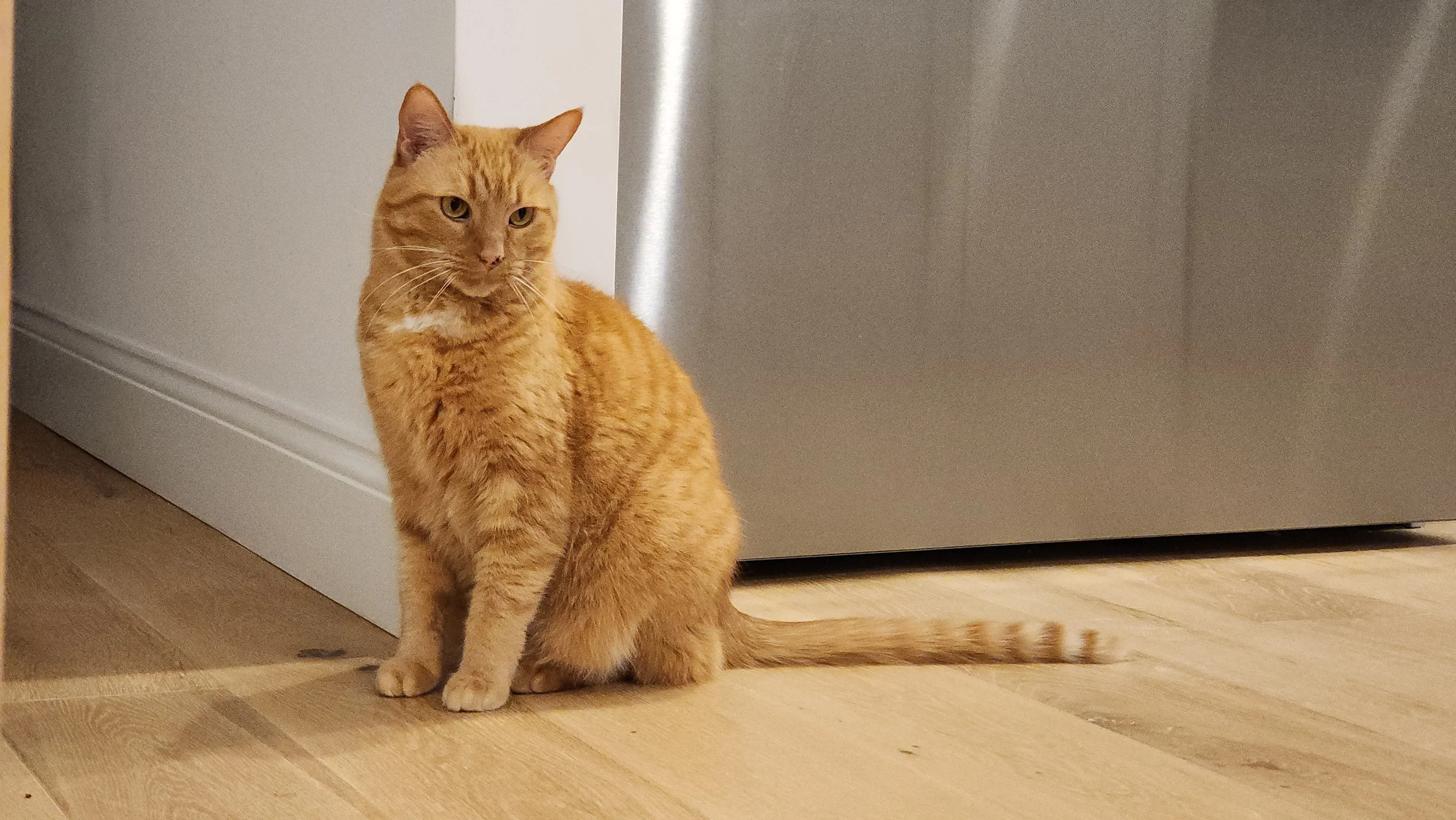 2024-01-20 16.48.20.jpg