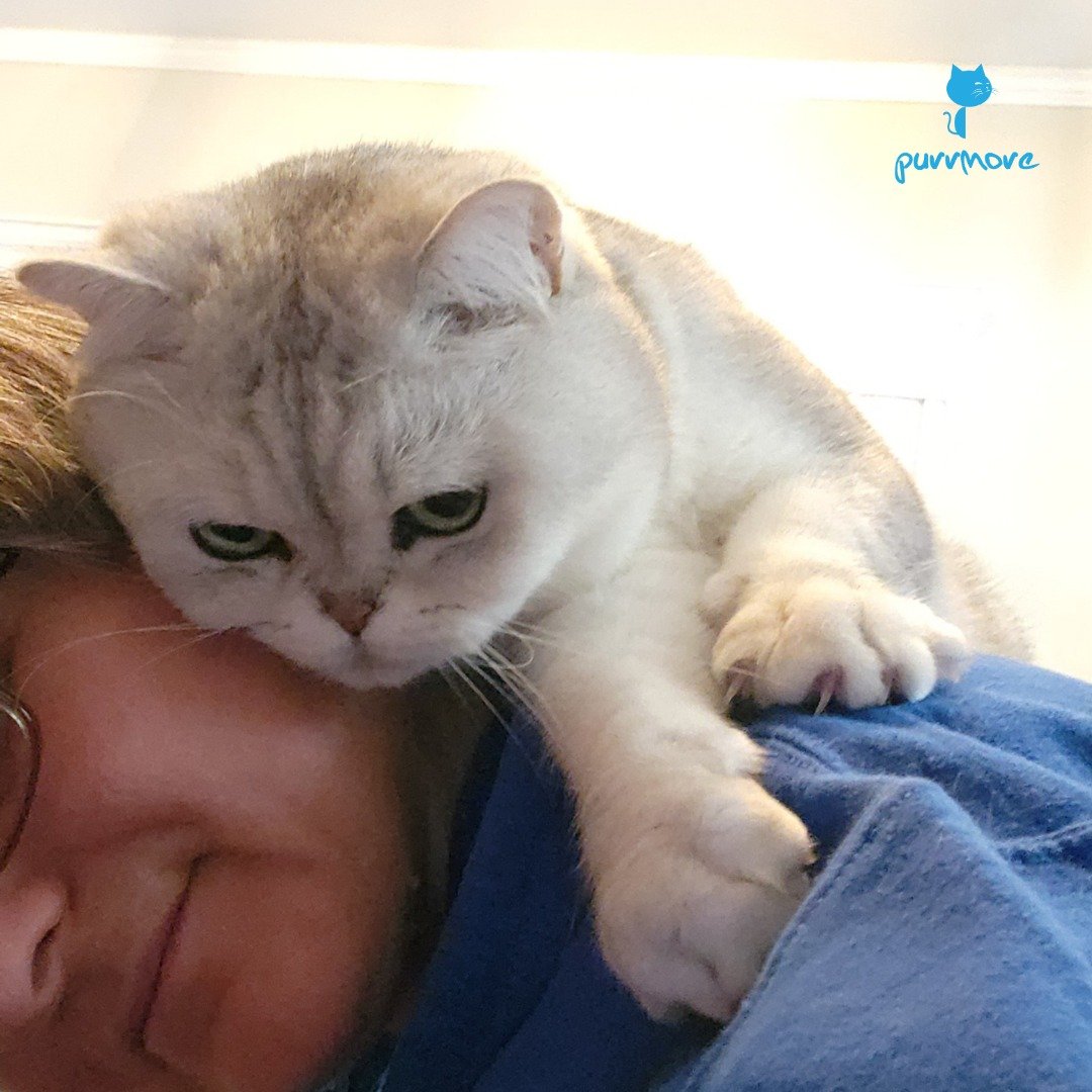 Don't hug your cat, but let your cat hug you, if they want to. Puffin wants to climb on his cat sitter's back and give her a big hug.
.
Today is &quot;Hug Your Cat Day&quot;, but please don't hug your cat. Although each cat is different, and some cat