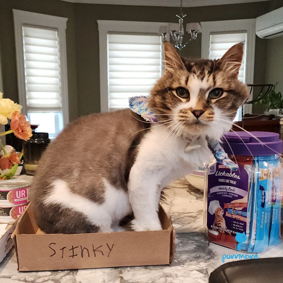 Just what it says on the box. -- Stinky
.
.
.
#purrmorecats #petsitter #catsofwestroxbury