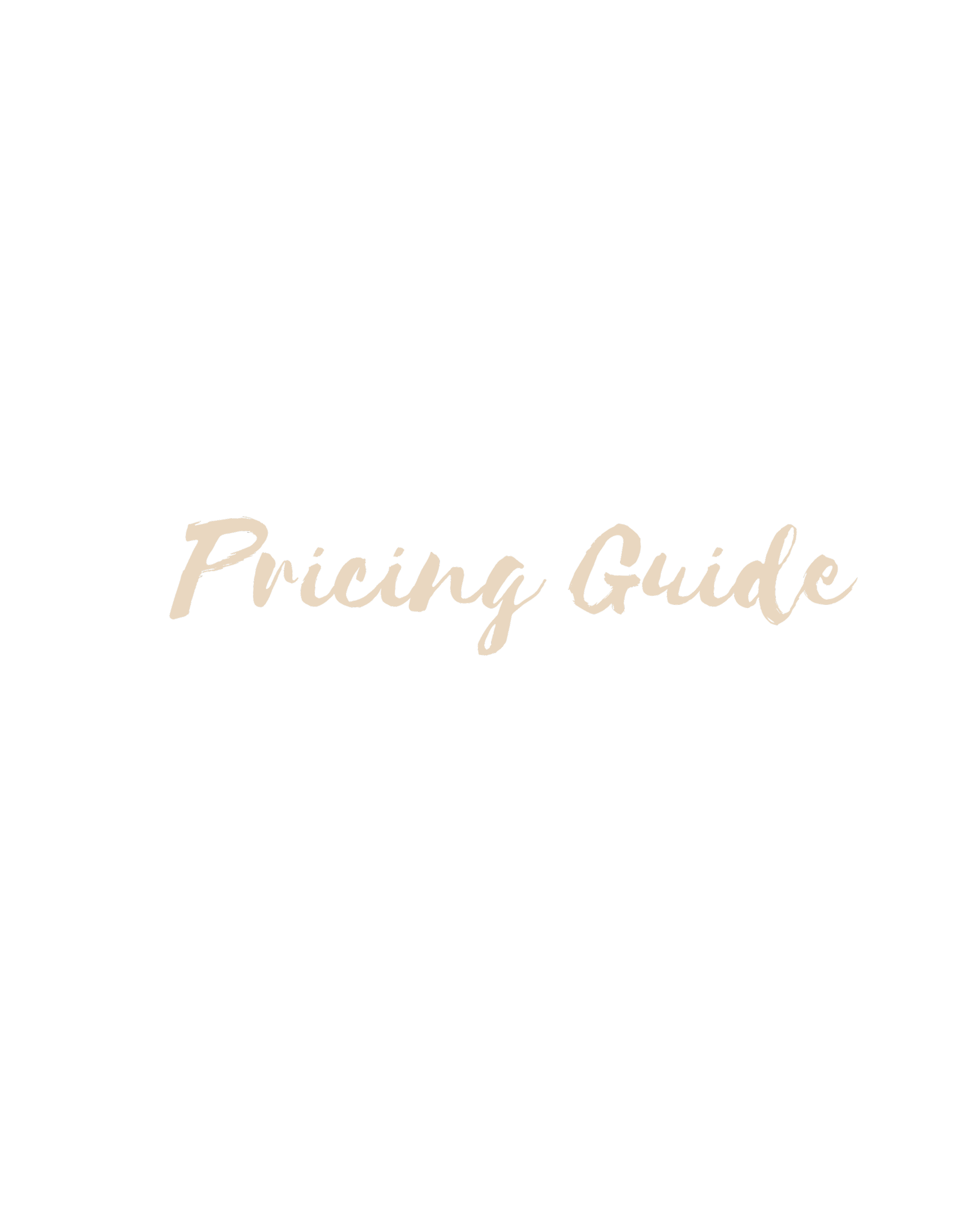 Black background with the words 'Pricing Guide' in beige cursive font in the center.