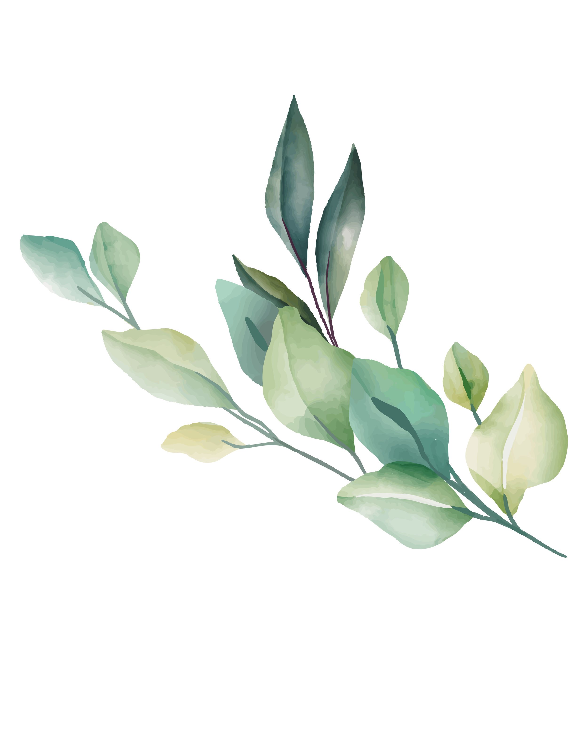 leaf icon for website design