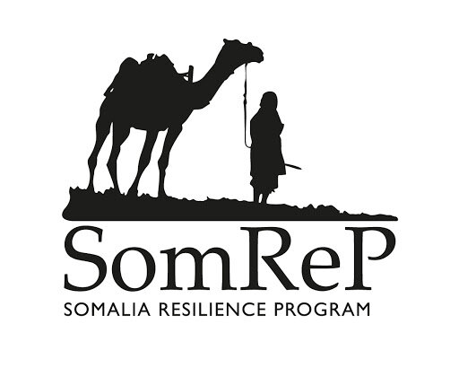 SomRep logo.jpg