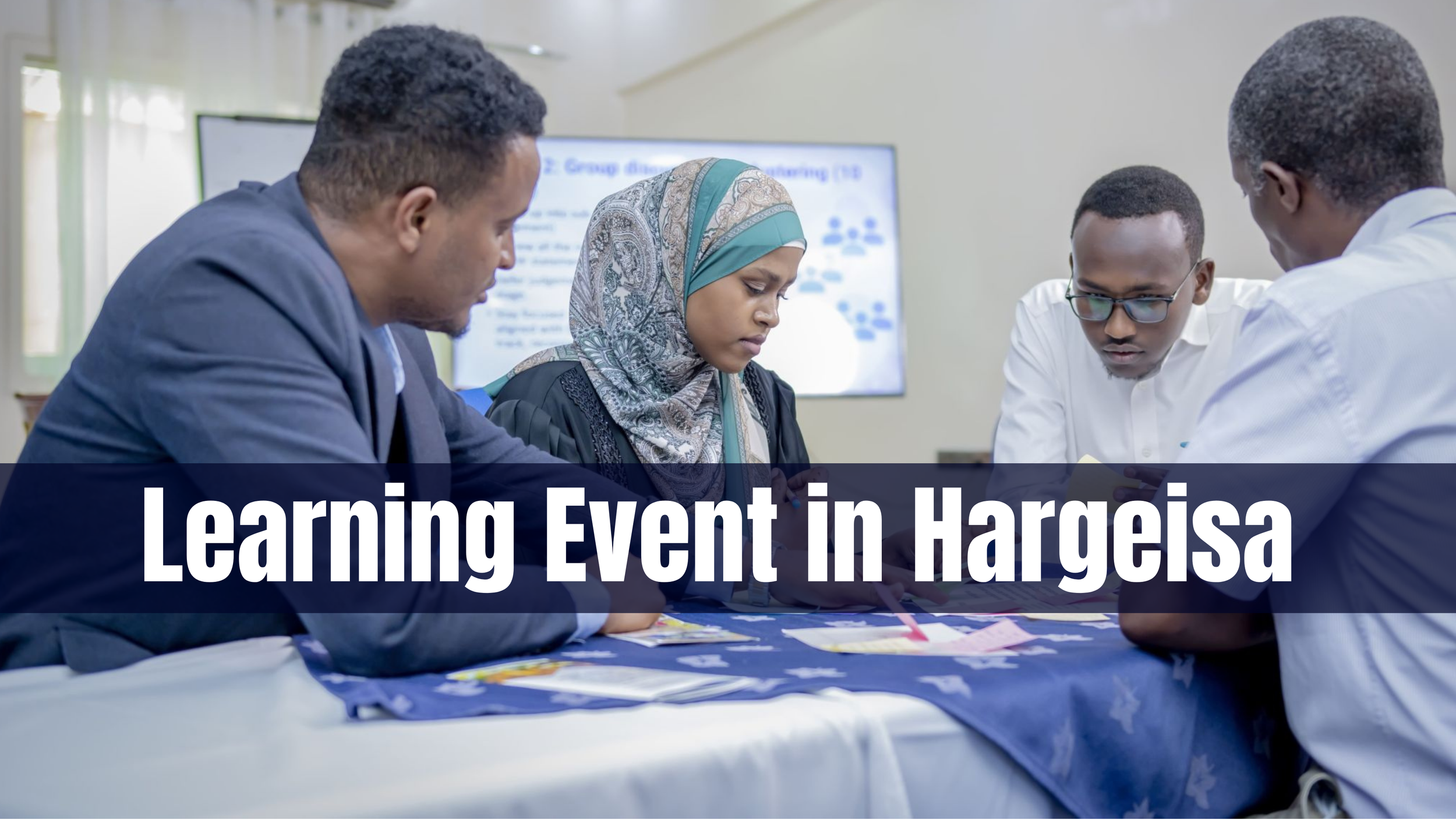 SomRIL | Learning Event for Financial Innovation and Resource Mobilization Project