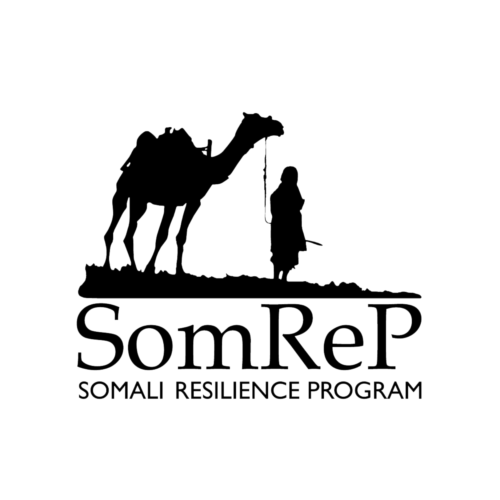 Country Lab - Somalia — Response Innovation Lab