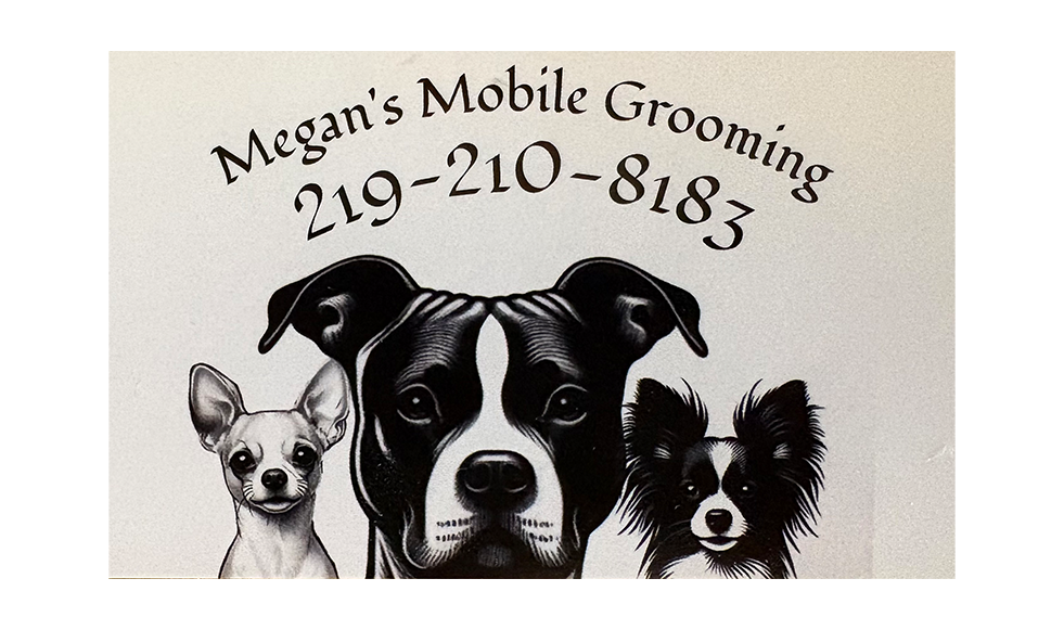 Artboard 1 copy 7.png