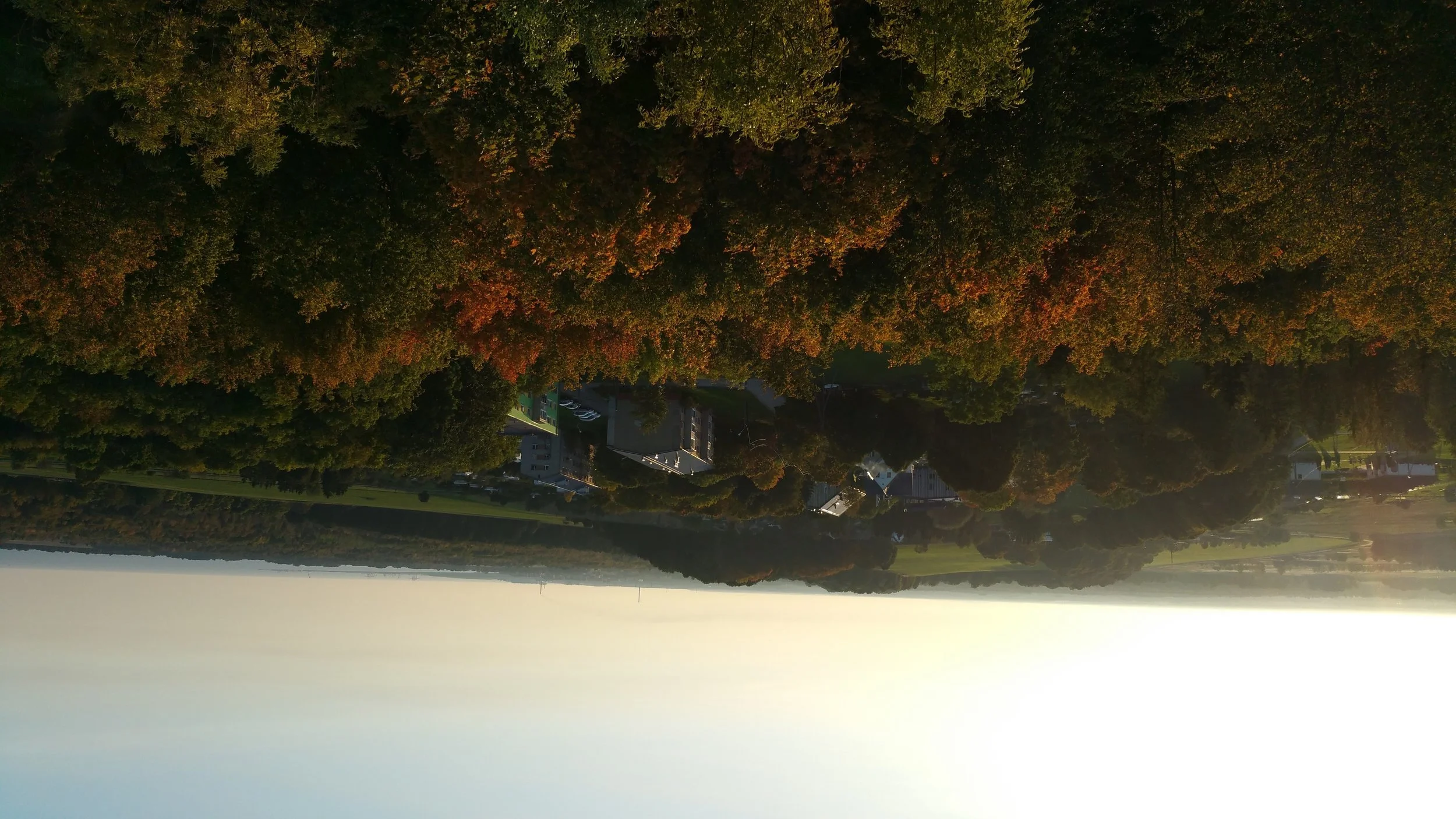 Esimesed nädalad Sinimäel