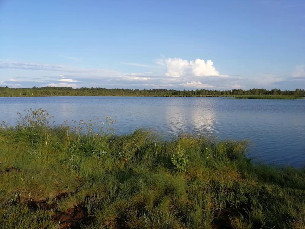 Mida teeb NK õpetaja juulis?
