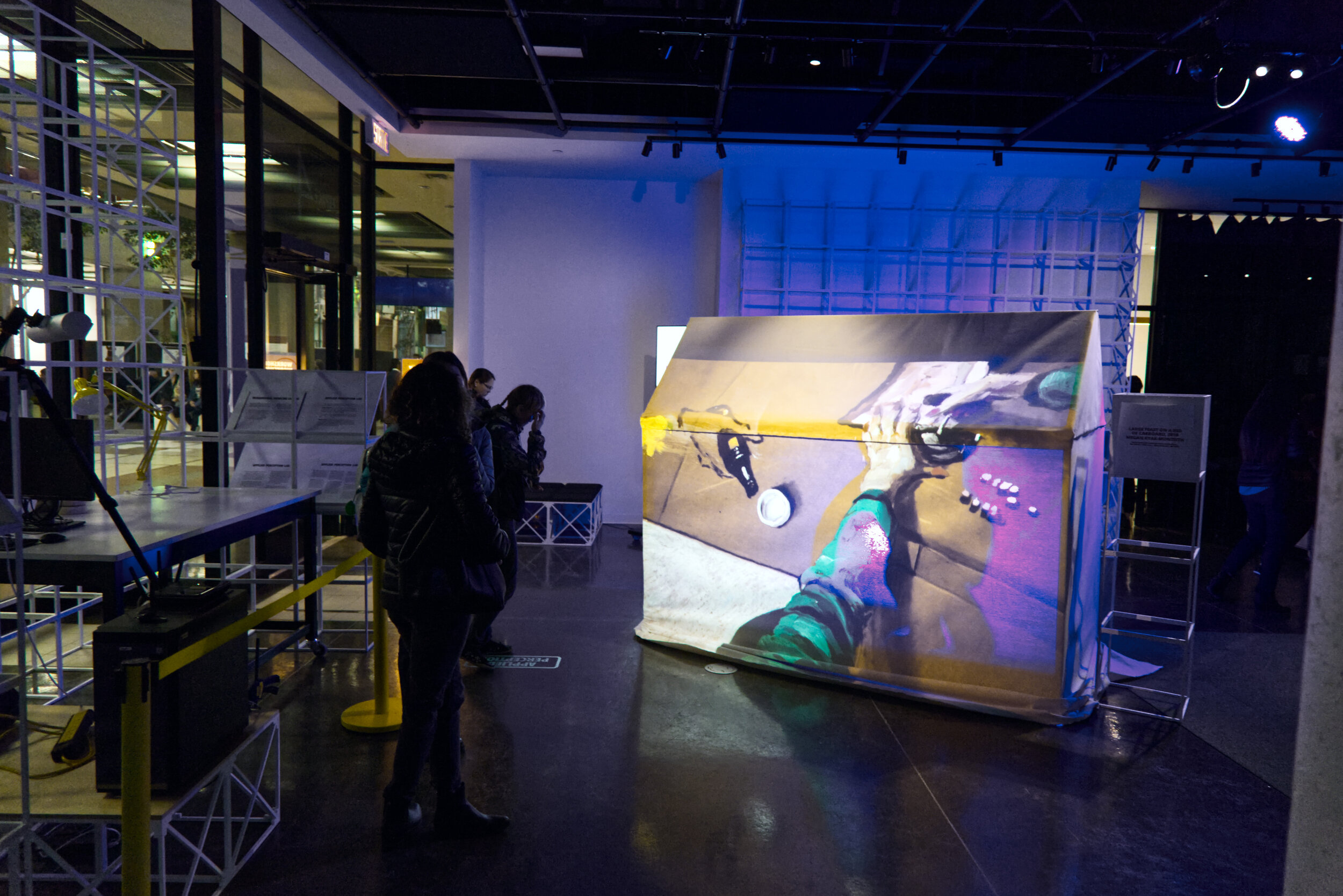   Large Feast on a Bed of Cardboard (Maktaaq)   (2019) by Megan Kyak-Monteith, installed at Concordia's 4th Space for iNuit Blanche, Montreal QC. October 2019. Photo by Enitan Adebowale. 