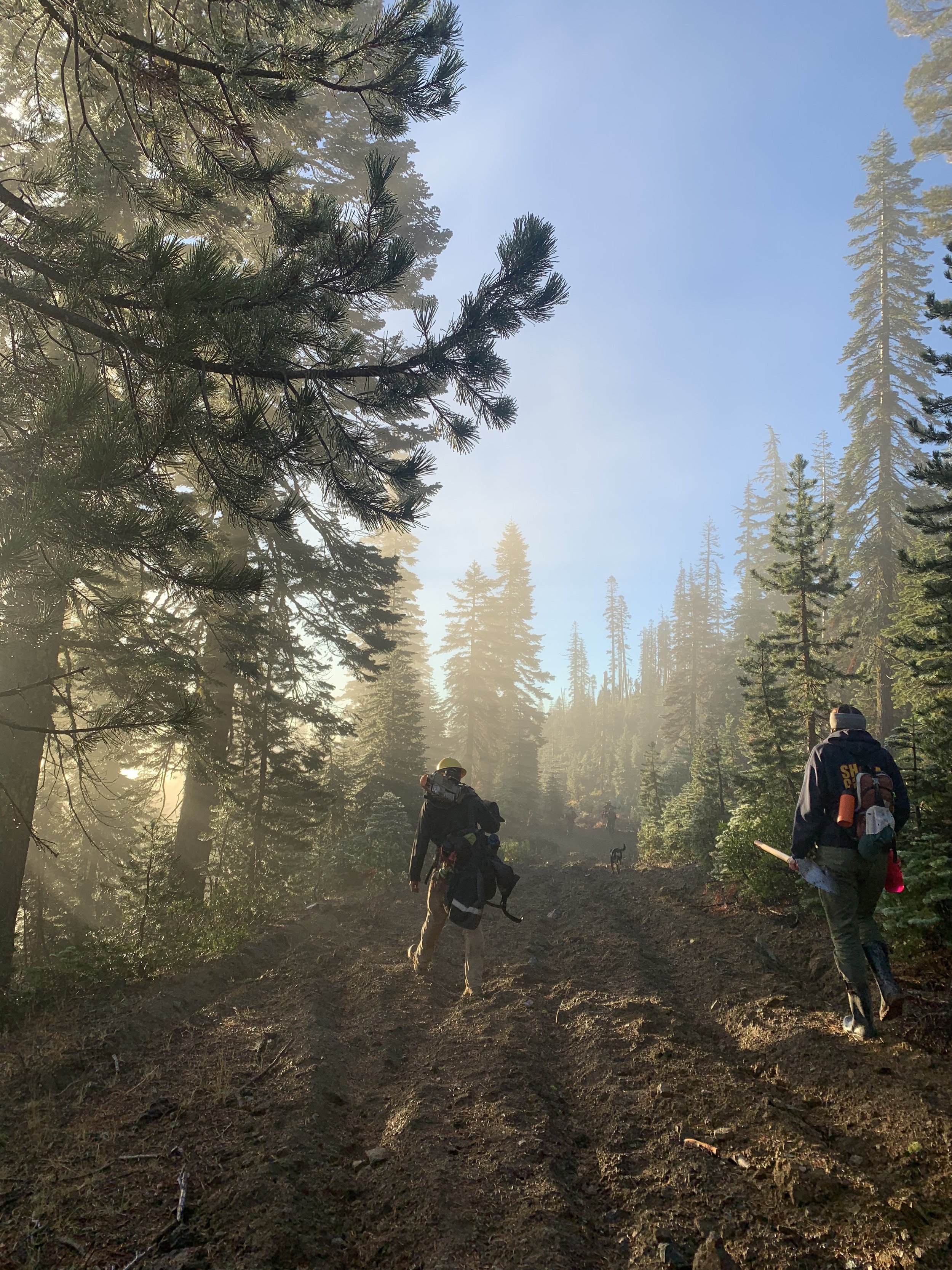 Two Techs in the Forest During Sunrise.jpg